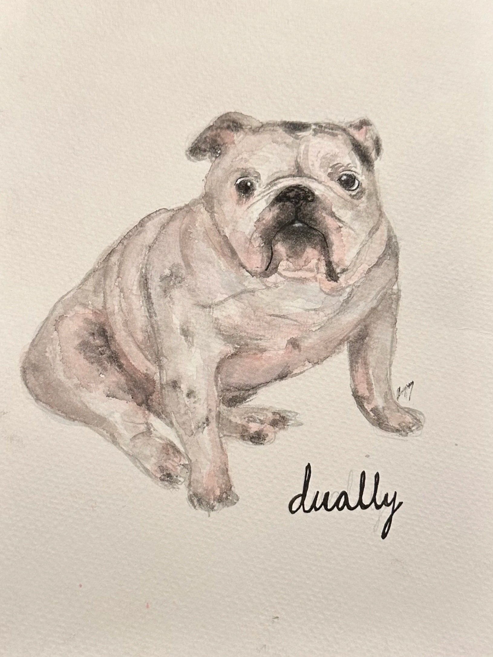 A watercolor painting of a Bulldog sitting with the word 'dually' written below in script.