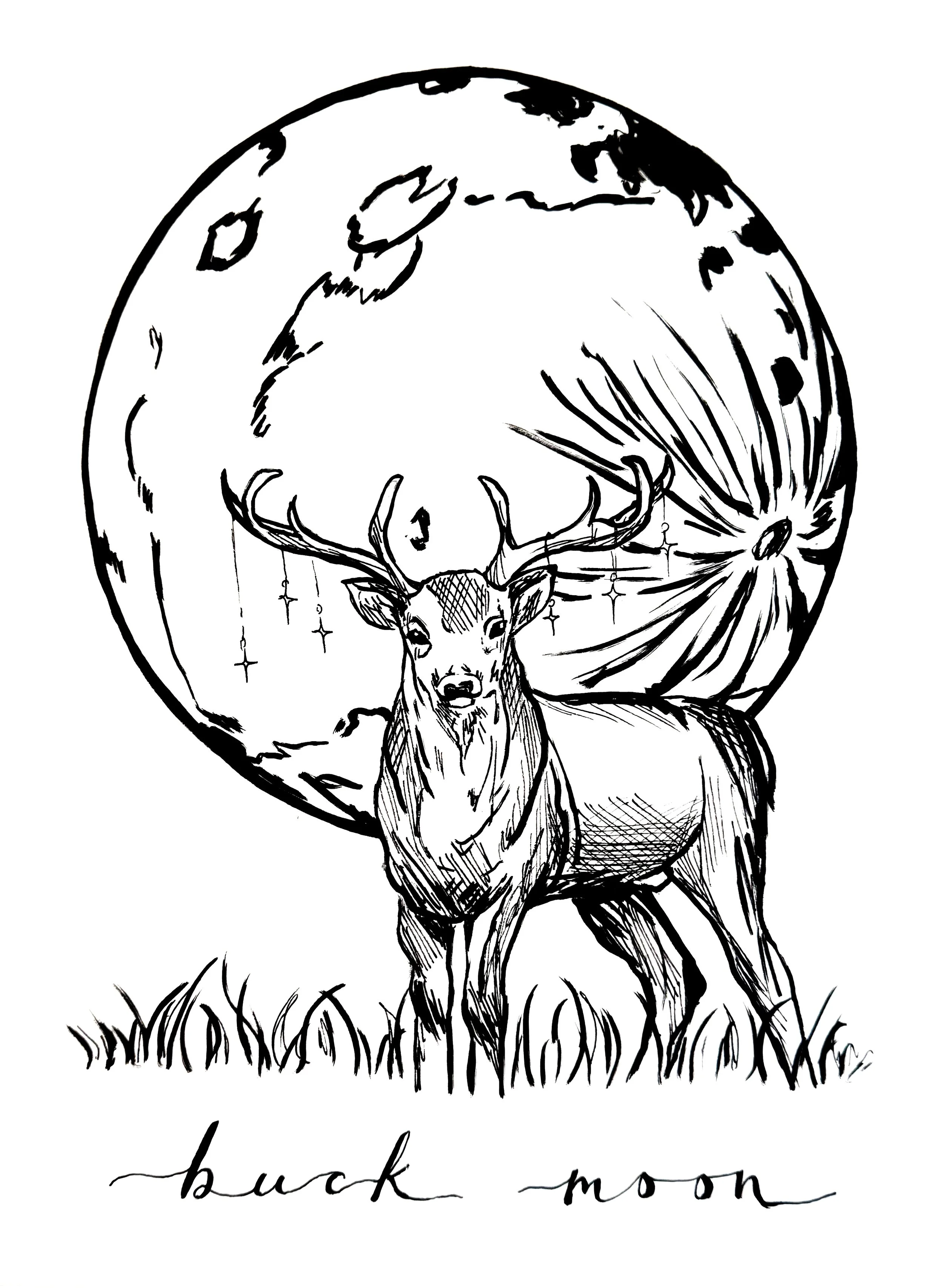 Black and white illustration of a buck standing in grass with a full moon in the background. The words 'buck moon' are written below the image in cursive.