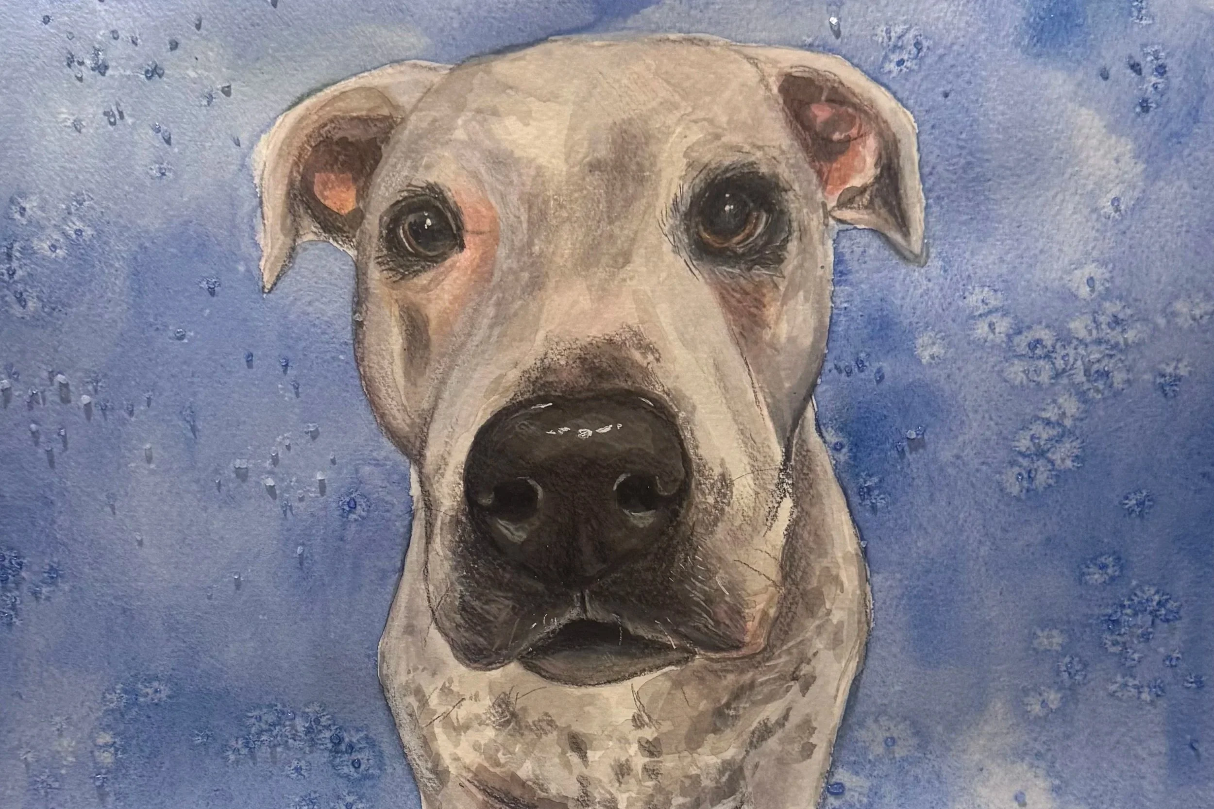 Painting of a dog with a blue background, showing the dog's face and upper body, with expressive eyes and a short fur coat.