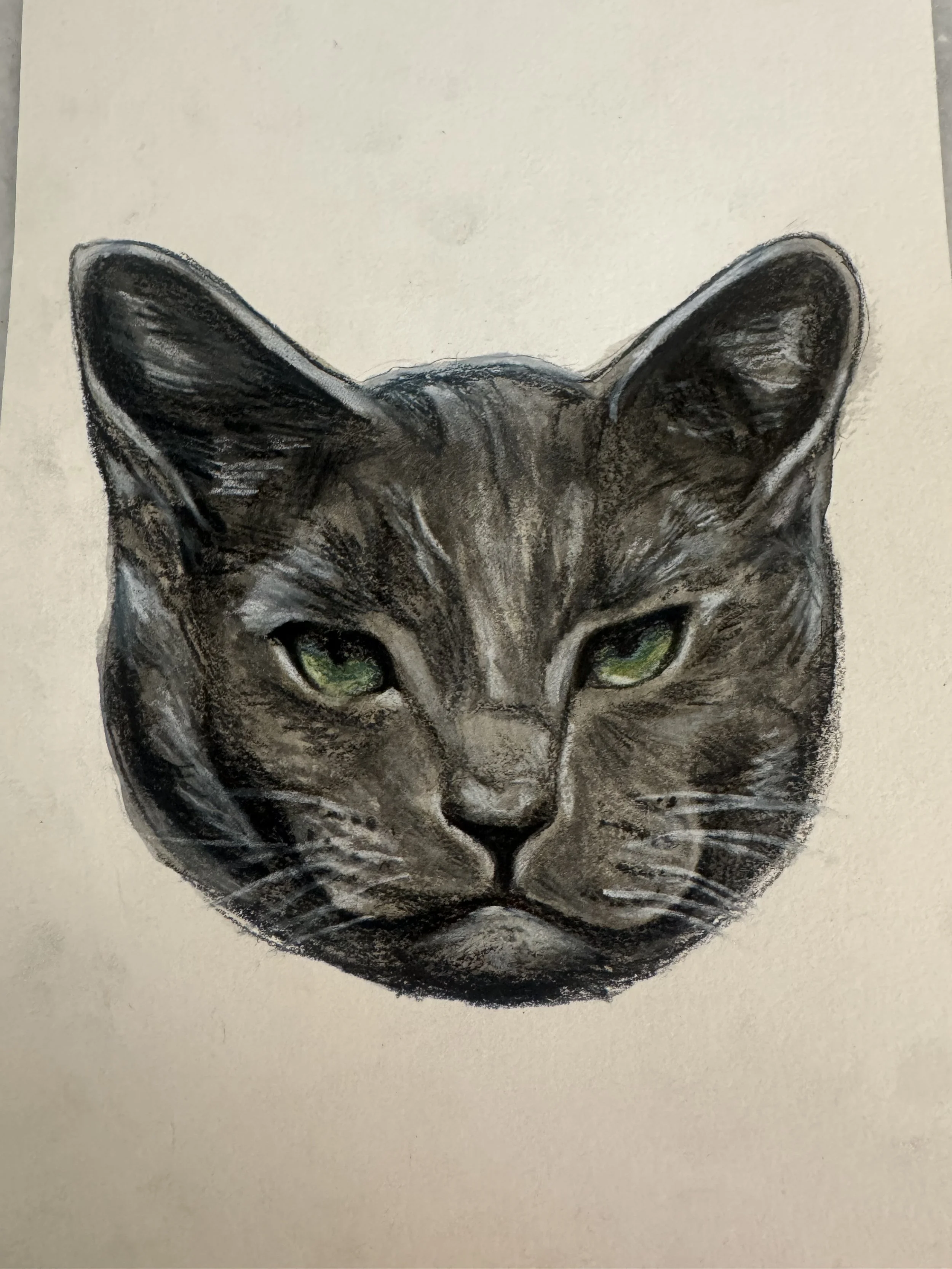 Drawing of a cat with green eyes on a white background.
