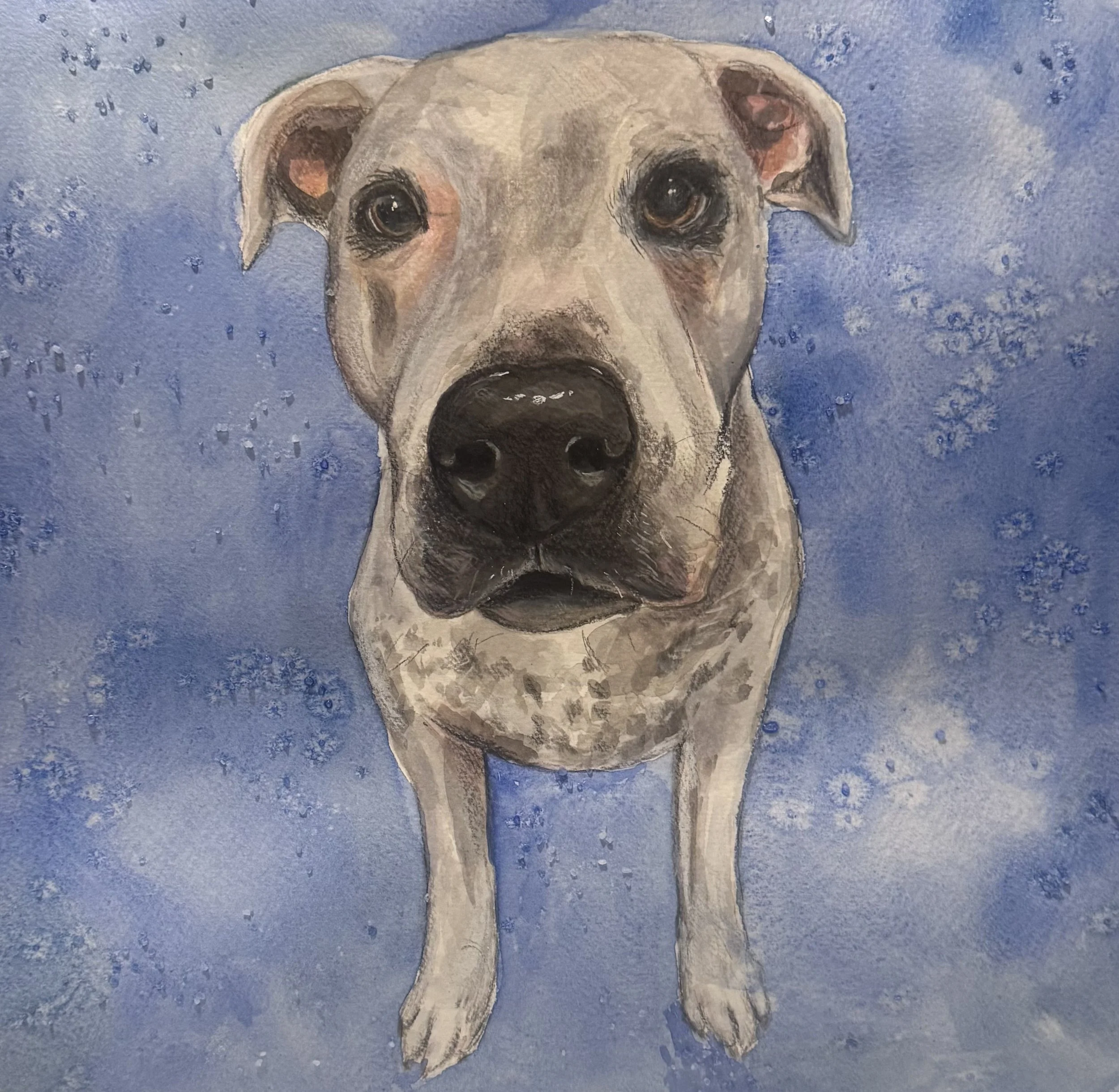 A watercolor painting of a dog with large, expressive eyes, pink accents inside the ears, and a black nose, set against a textured blue background.