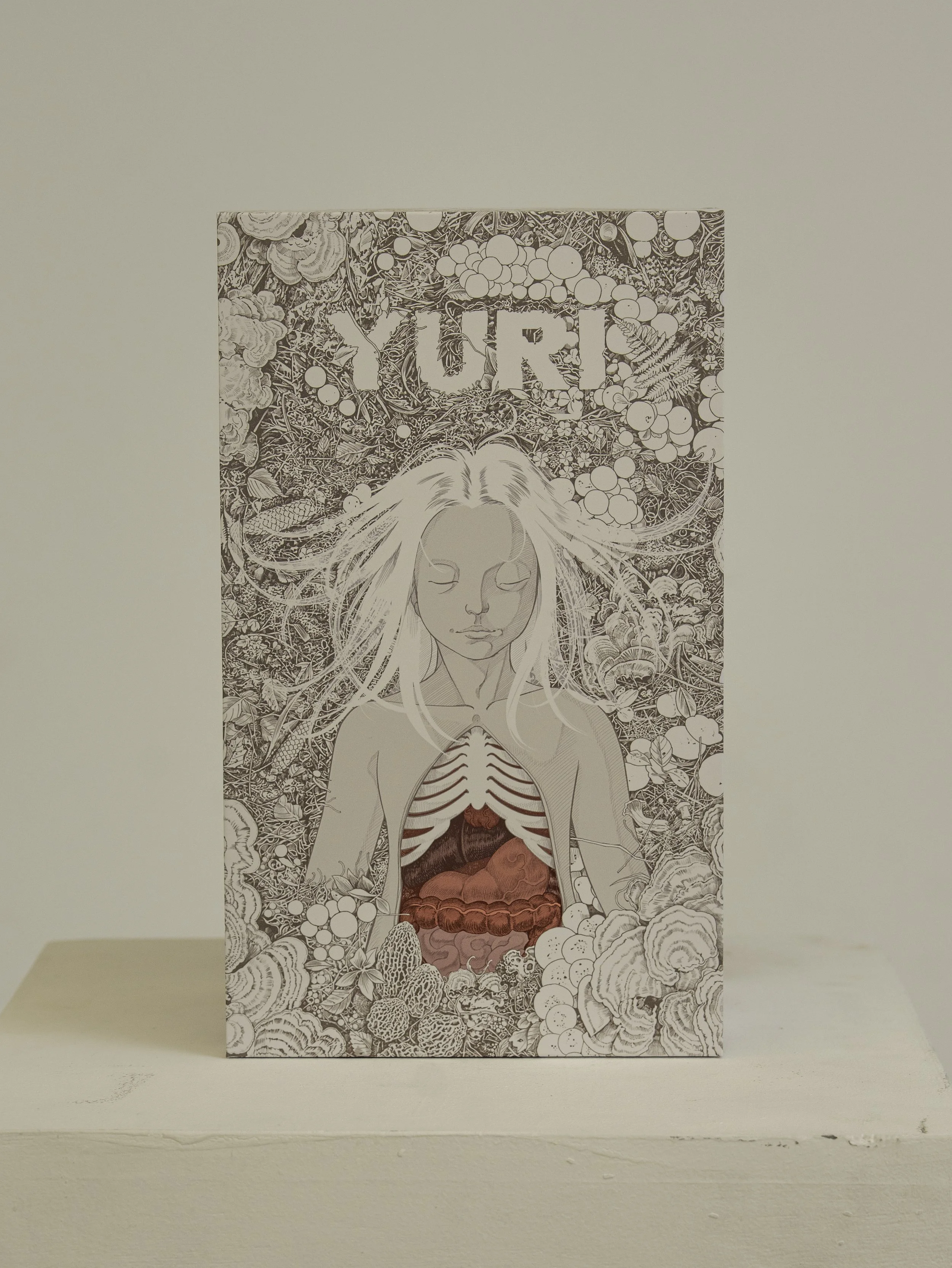 Yuri Project (Limited Edition)