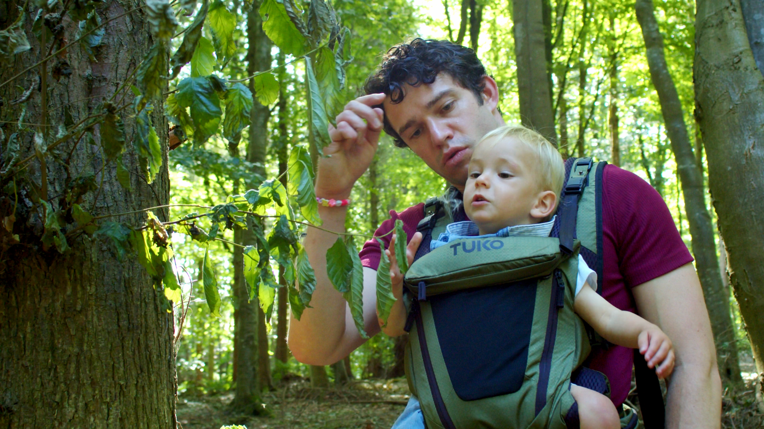 Father carrying his son in a TUKO baby carrier while walking through woodland.