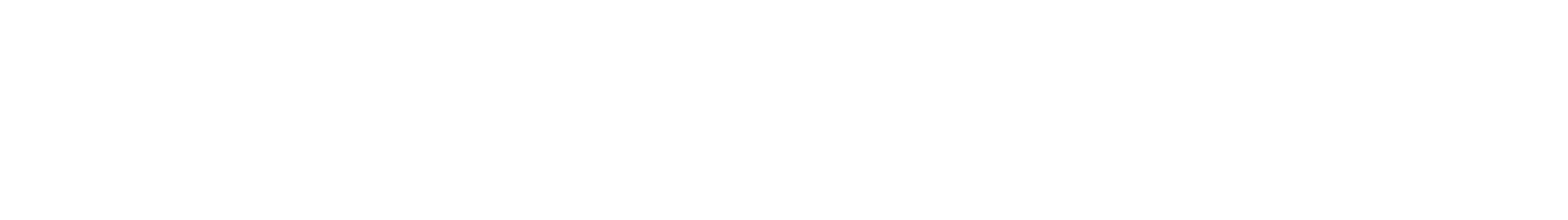 Stil Skoonheid