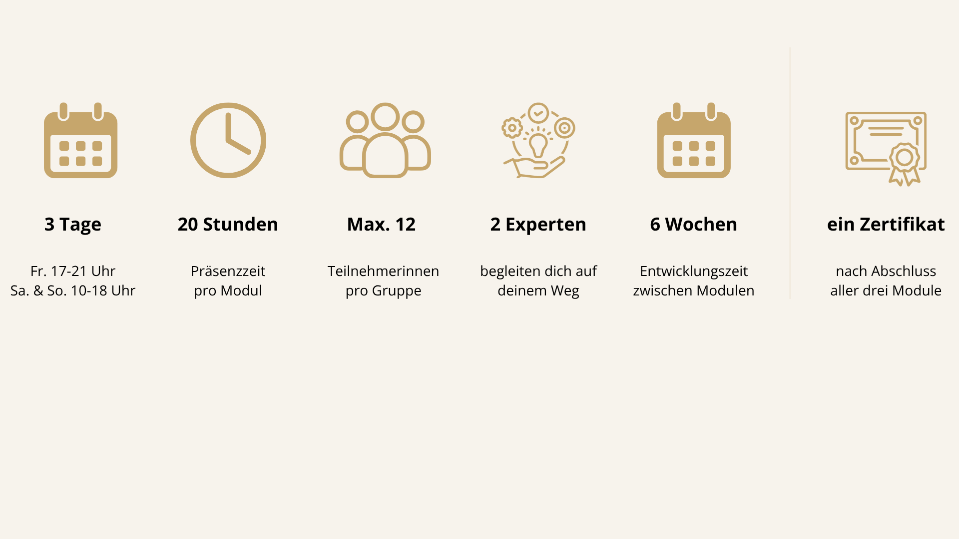 Grafik mit Icons und Text zu einem Kurs: 3 Tage, 20 Stunden, Max. 12 Teilnehmerinnen, 2 Experten, 6 Wochen, ein Zertifikat, Termine Donnerstag und Samstag, Präsenzzeit pro Modul, Begleitung auf dem Weg, Entwicklungszeit zwischen Modulen, Abschluss nach drei Modulen.
