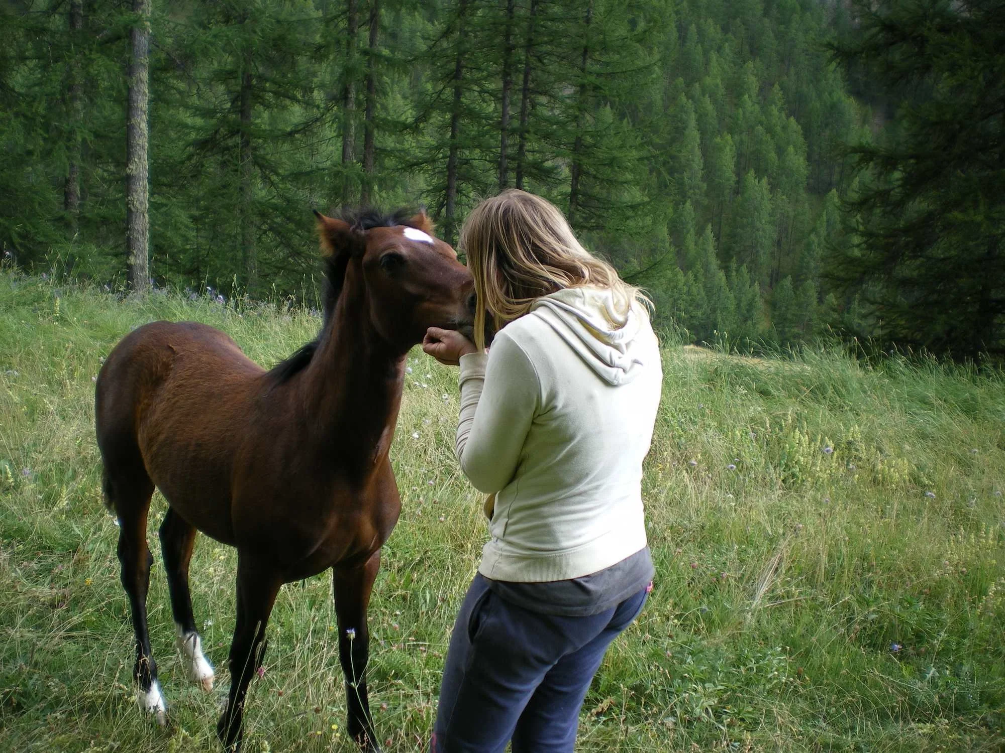 Une jeune femme avec des cheveux blonds, portant une veste blanche, caresse un cheval marron dans une forêt verdoyante.