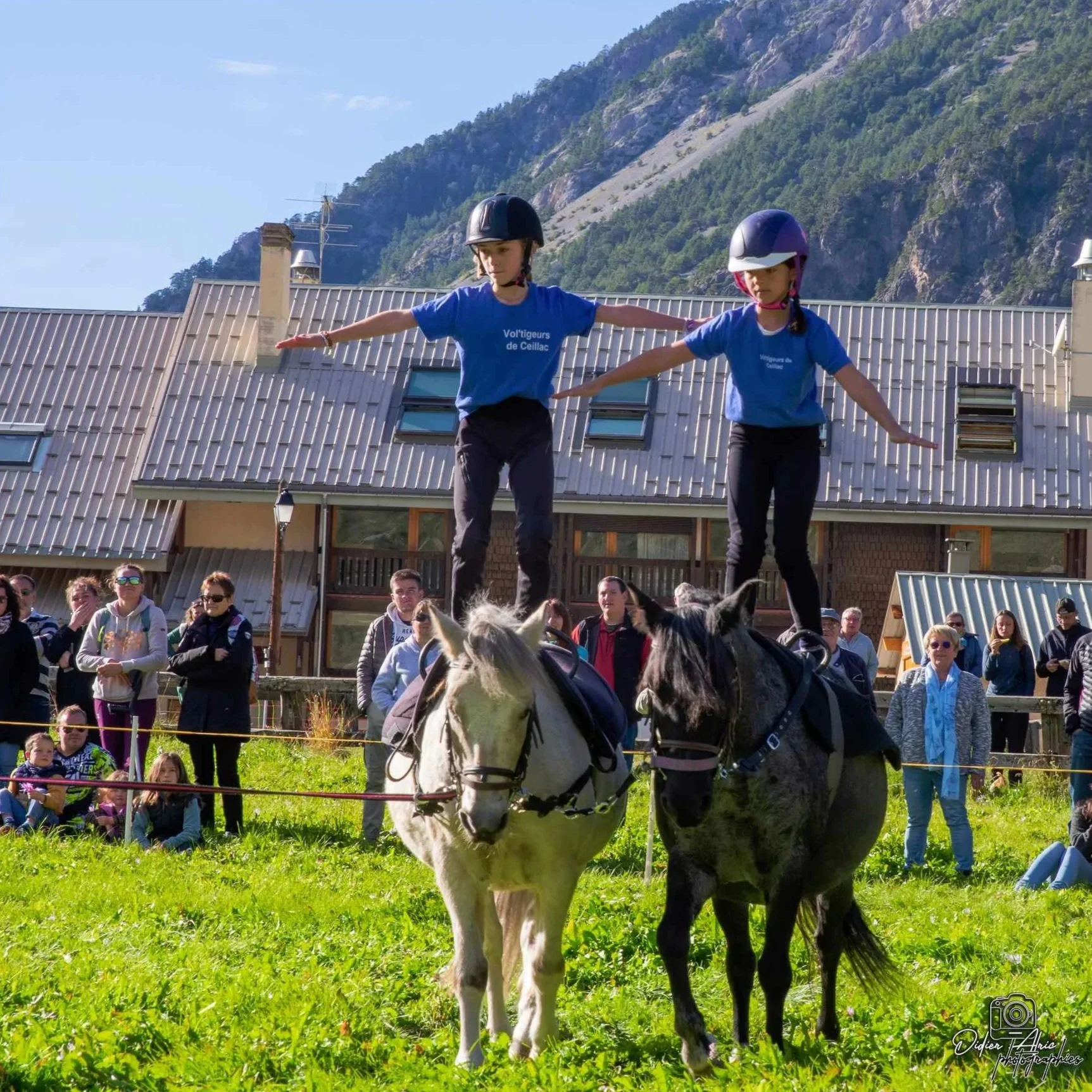 Deux jeunes filles portent des casques et des t-shirts bleus avec l'inscription "Vol'tigeurs de Ceillac" tout en effectuant un exercice d'équilibre sur une plateforme surmontée d'équidés dans un espace vert avec un groupe de spectateurs en arrière-pl