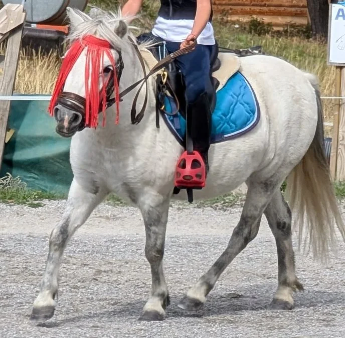 Petite fille à cheval blanc avec une crinière rouge, portant un casque rose, en extérieur sur un chemin gravelé.