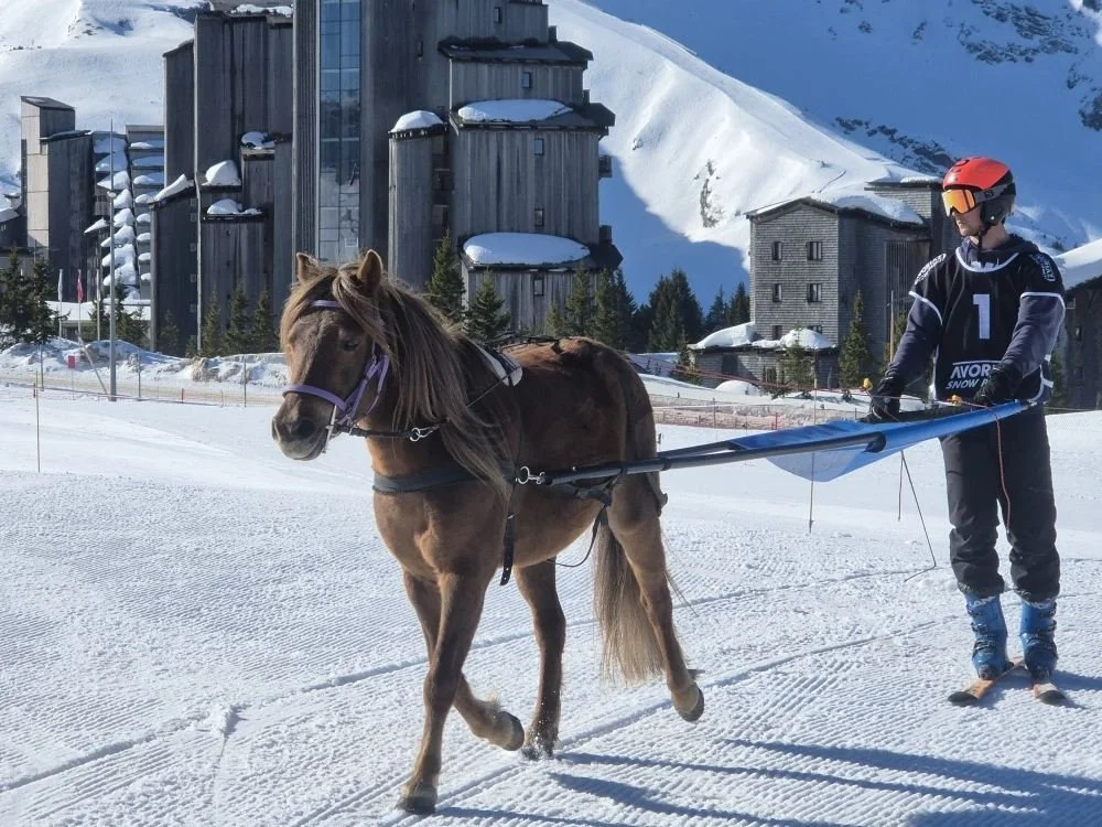 Une personne en tenue de ski tenant une solide ligne attachée à un petit cheval ou poney dans un paysage enneigé devant un bâtiment de style moderne en montagne.