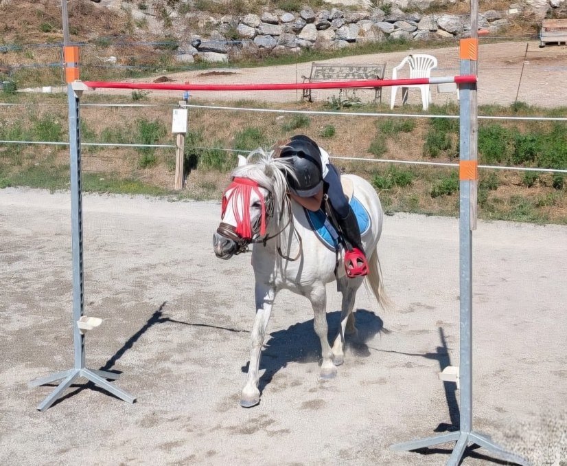 Un enfant en casque à cheval, monté sur un petit cheval blanc, se courbant sous une barre d'obstacle lors d'une séance d'équitation en plein air.