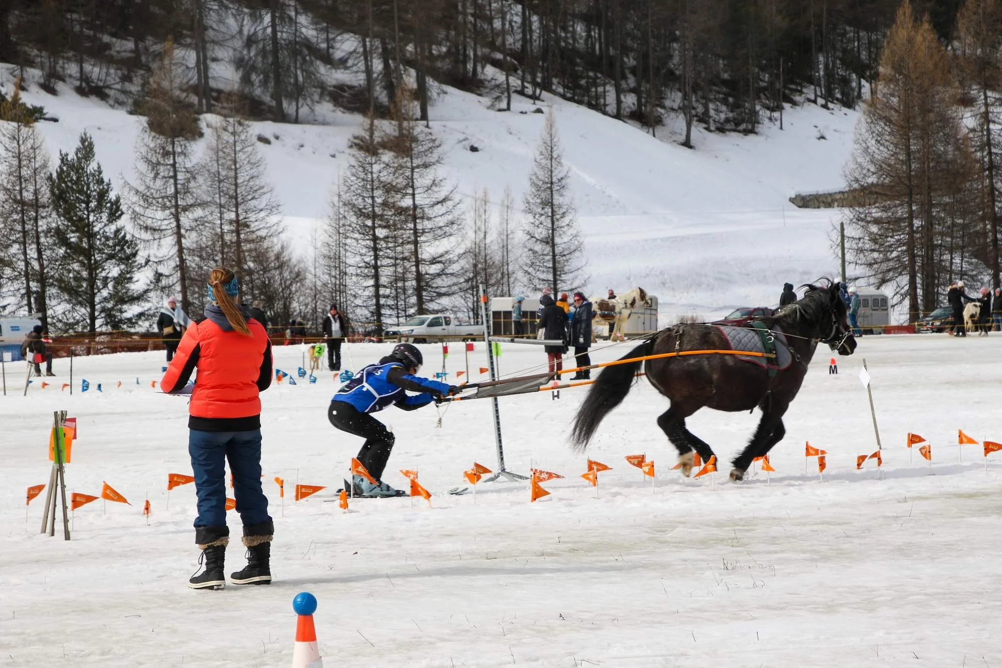 Une compétition de sports d'hiver avec des participants en skiские et des chevaux dans un environnement enneigé, entouré d'arbres et de montagnes.