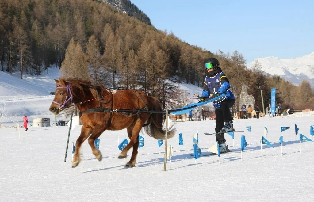Un enfant en ski avec un casque et une combinaison bleue, tirant un petit cheval en bois ou en plastique sur la neige lors d'une activité hivernale.