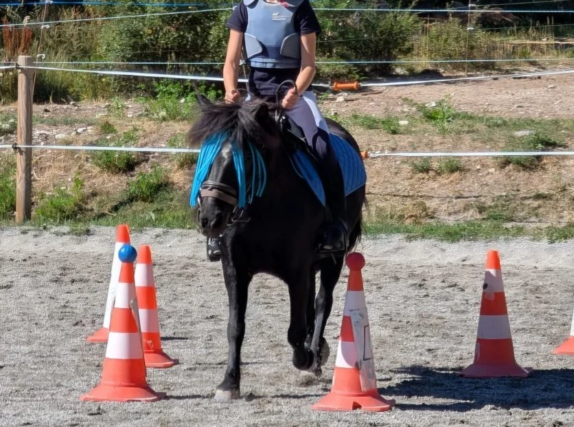 Enfant à cheval entre des cônes de circulation lors d'une séance d'apprentissage équestre en extérieur.