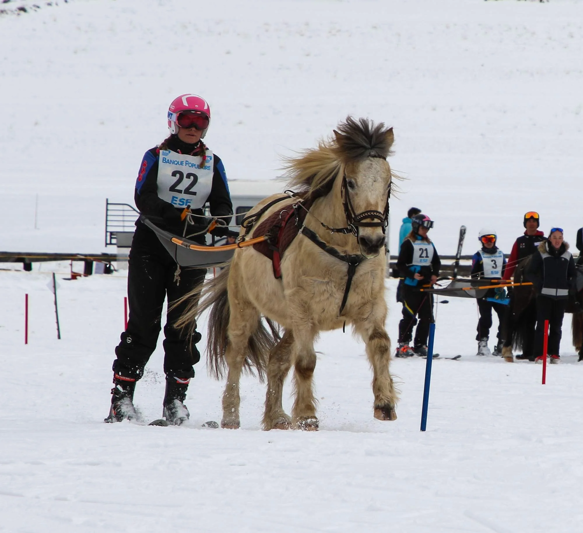 Une jeune athlète en compétition d'hiver, portant un casque rose, des lunettes de ski et un dossard numéro 22, guide un cheval dans un paysage enneigé avec d'autres personnes en arrière-plan.