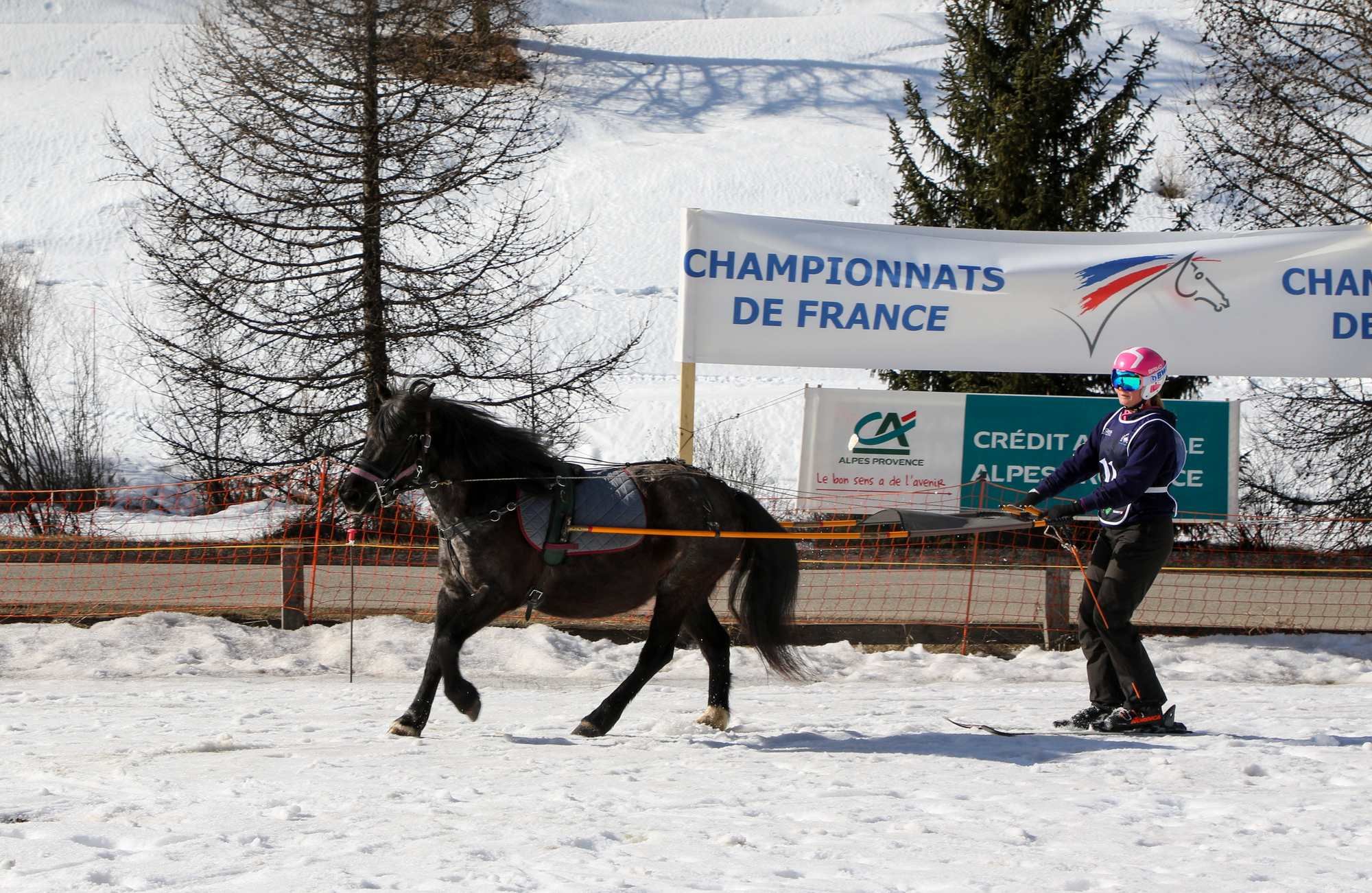 Une femme en ski de compétition tirant un cheval à l'aide d'une longe en compétition lors des Championnats de France dans un paysage enneigé, avec des arbres et des panneaux publicitaires