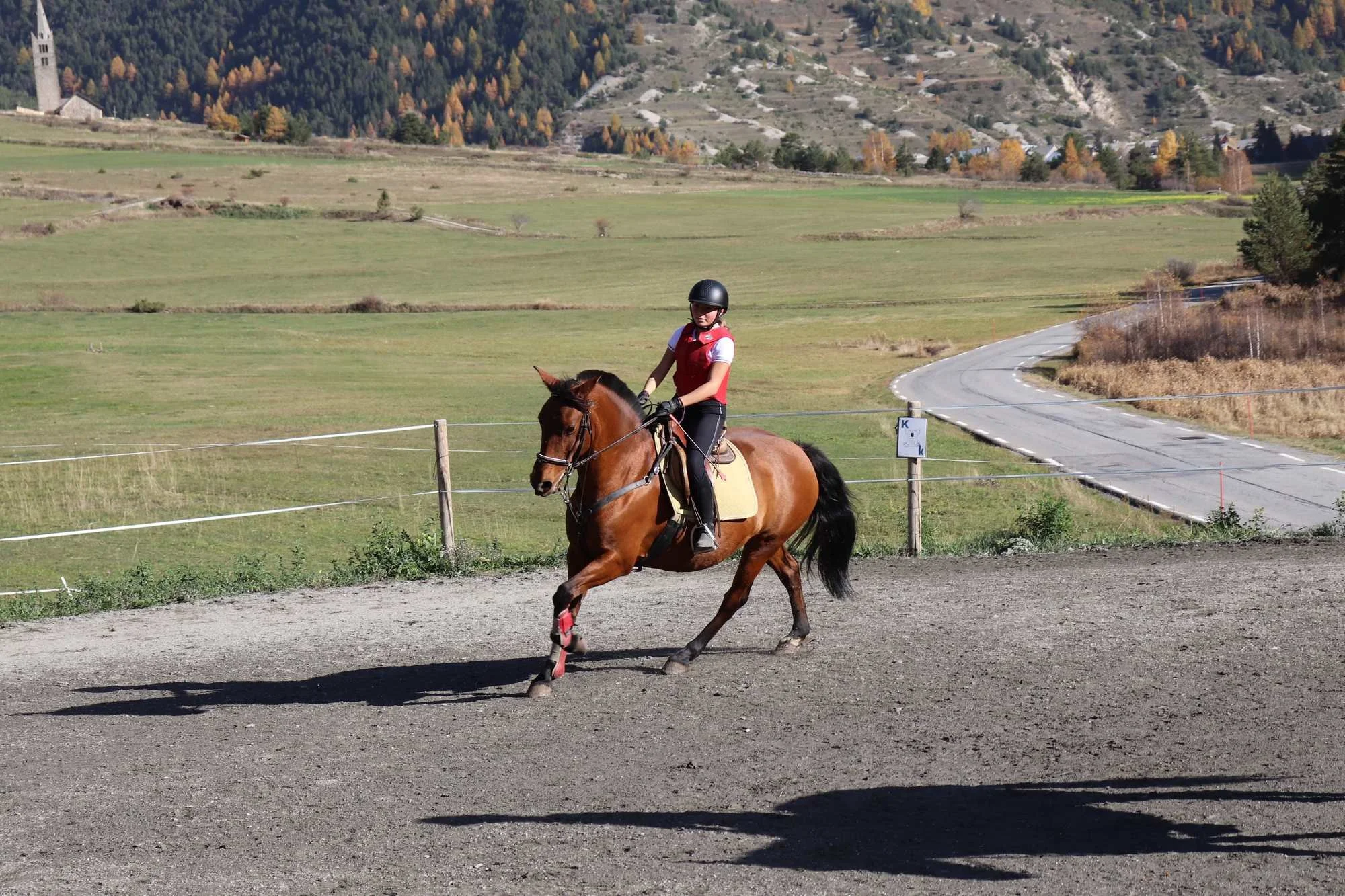 Une personne chevauche un cheval dans un champ en plein air, avec un paysage de collines et de forêt en arrière-plan.