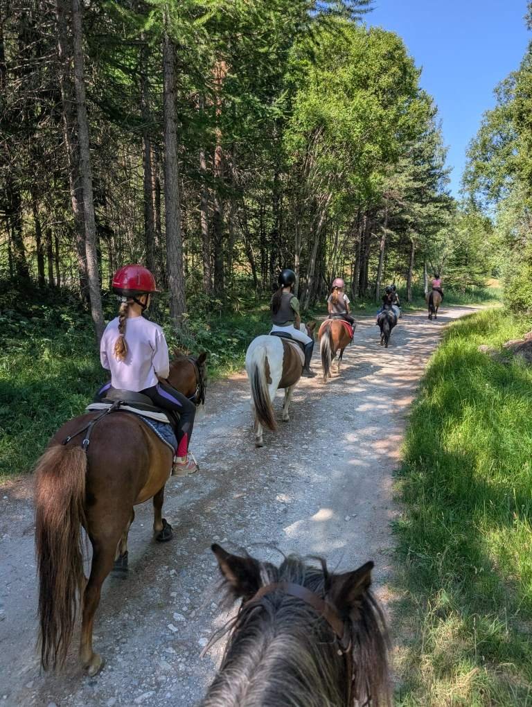 Groupe de personnes à cheval sur un sentier forestier en pleine nature, par une journée ensoleillée.