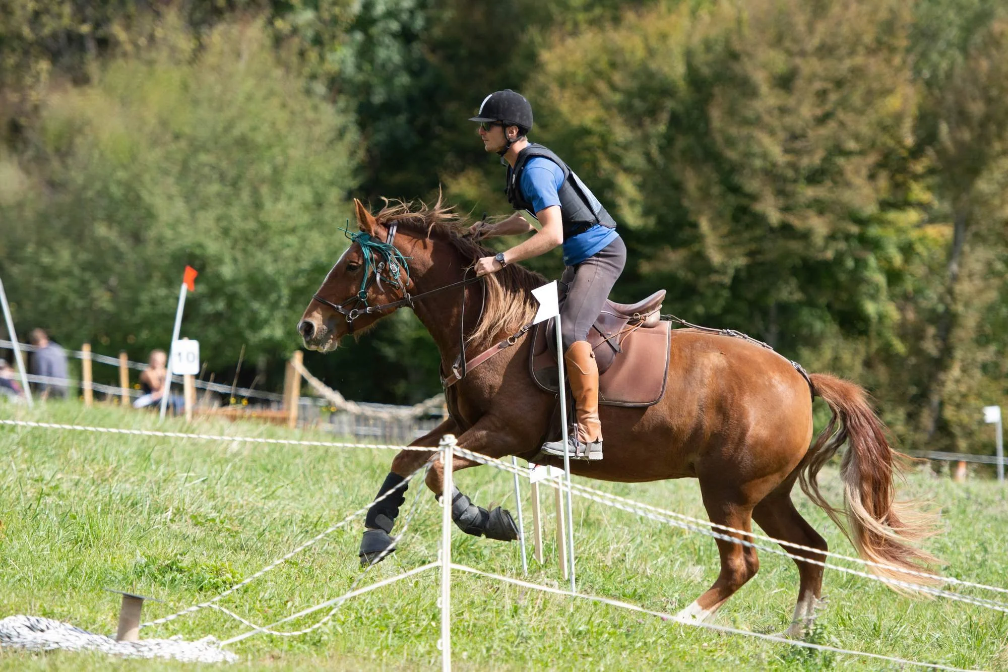 Un cavalier en casque et gilet de sécurité monte un cheval lors d'une compétition équestre en plein air, avec un fond de arbres et un public en arrière-plan.