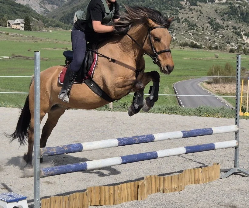 Un cheval beige sautant un obstacle lors d'une séance d'équitation, avec un cavalier portant une veste noire et un pantalon foncé, dans un paysage rural avec des montagnes en arrière-plan.