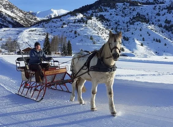 Une personne conduisant un traîneau tiré par un poney dans un paysage enneigé avec des montagnes en arrière-plan.