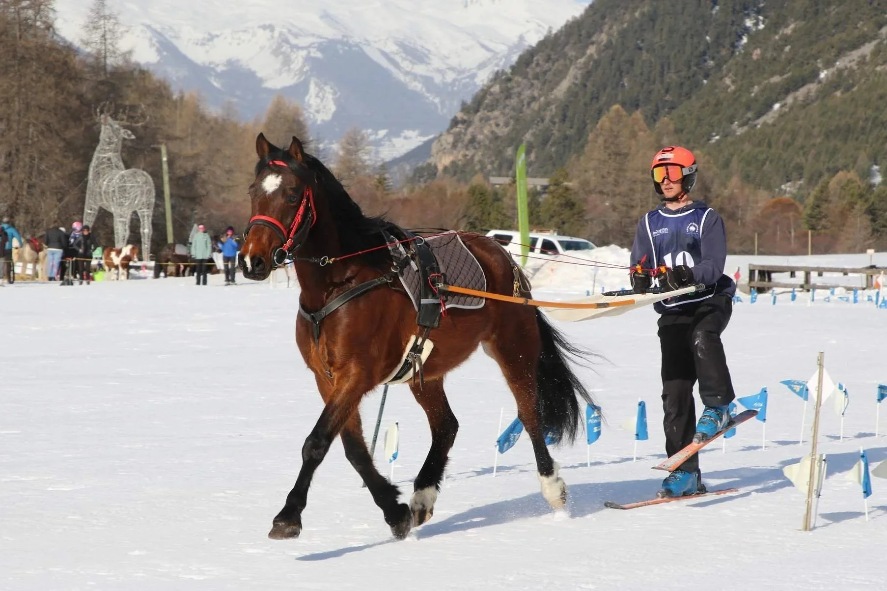 Un jeune skieur chevauche un cheval lors d'une compétition de ski de fond avec montagnes enneigées en arrière-plan.