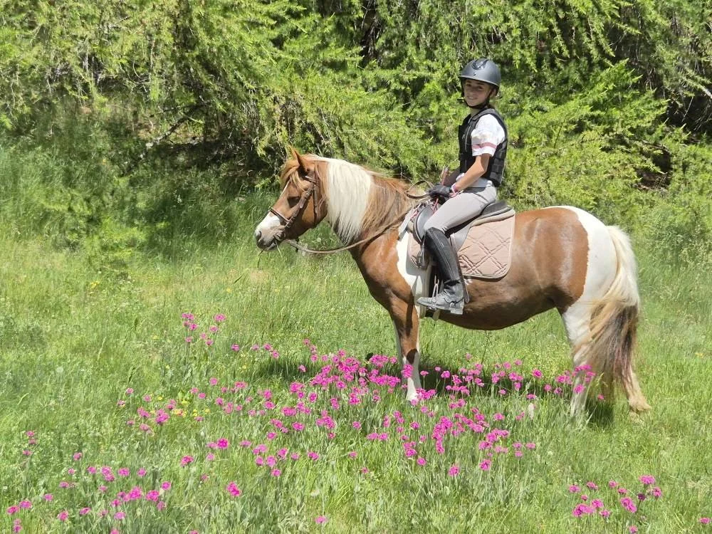 Une jeune femme à cheval dans un champ avec des fleurs roses et des arbres verts en arrière-plan, porte un casque et un gilet de sécurité.