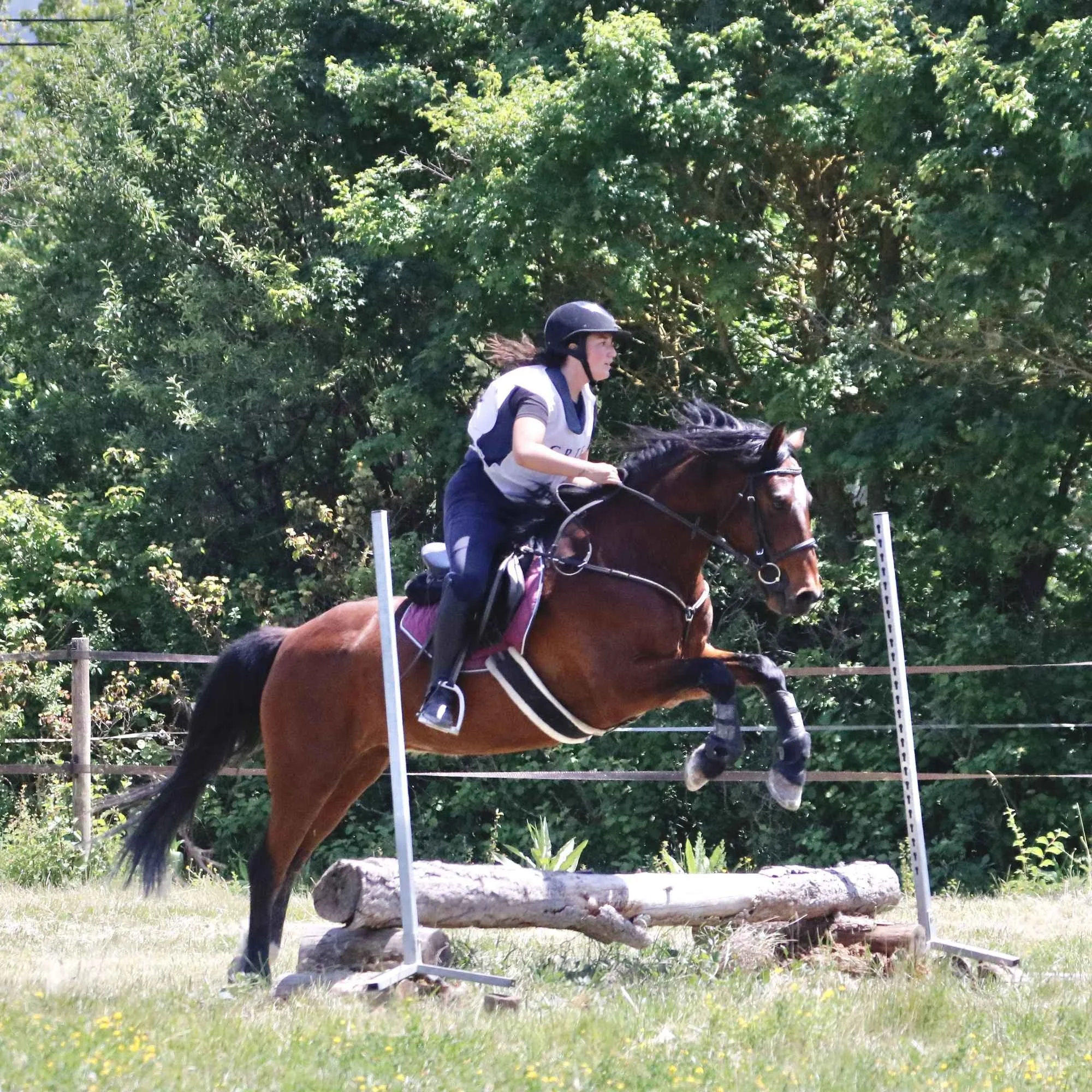 Une jeune cavalière portant un casque monte à cheval sur un parcours en plein air avec des obstacles en bois et des piquets en plastique, entouré de végétation et de hautes herbes.