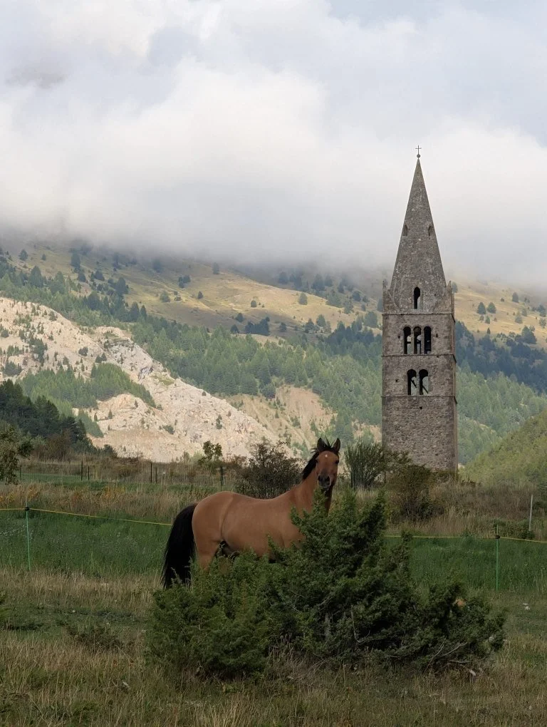 Un cheval brun dans un champ verdoyant avec une vieille tour en pierre en arrière-plan, entourée de montagnes et de nuages.