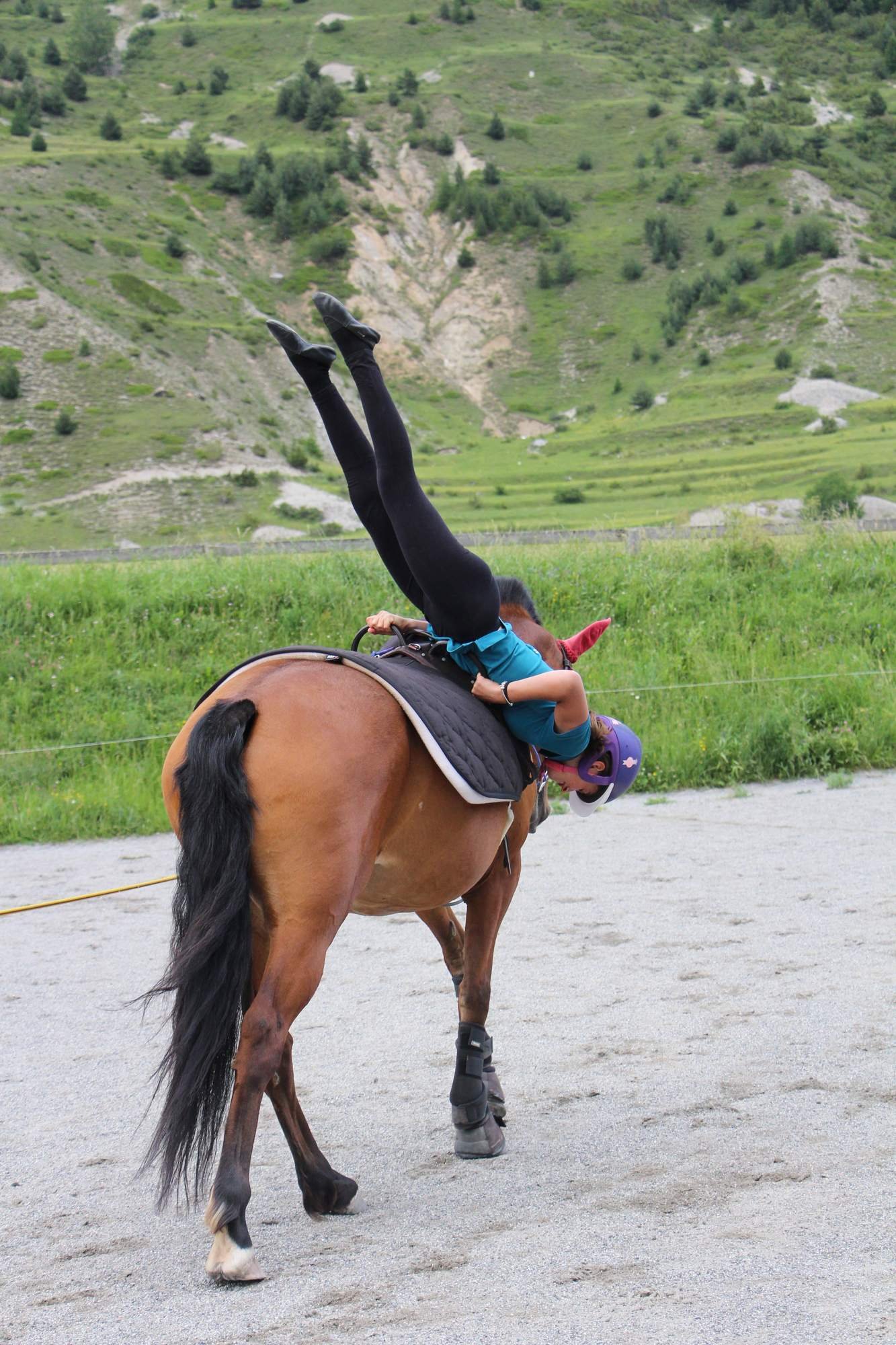 Une personne fait un plongeon arrière en équilibre sur un cheval dans un paysage de campagne verdoyante avec de petites collines et des champs. La personne porte un casque violet, un pantalon noir, un haut bleu et des bottes.