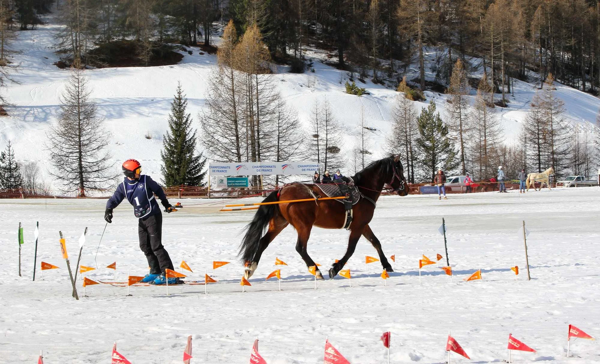 Une compétition de ski de fond avec un cheval attelé. Un homme en équipement de ski tire une personne avec un casque sur un cheval dans un environnement enneigé, avec des arbres et des montagnes en arrière-plan.