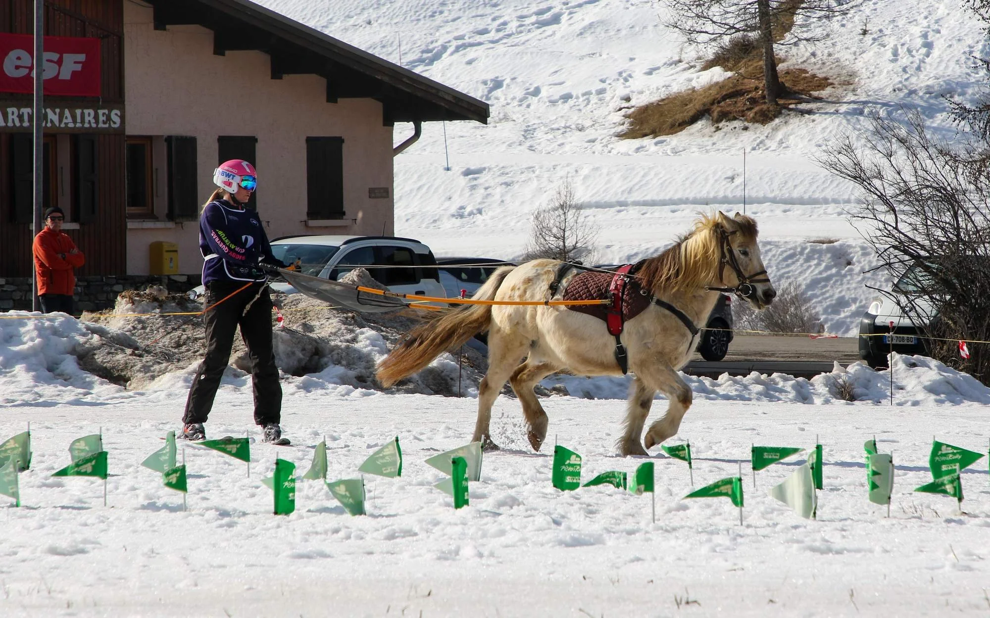 Personne avec casque de ski, vêtue d'une combinaison de sport, guidant un cheval à travers la neige lors d'une compétition de ski équestre en montagne, avec un bâtiment, des voitures et des arbres en arrière-plan.