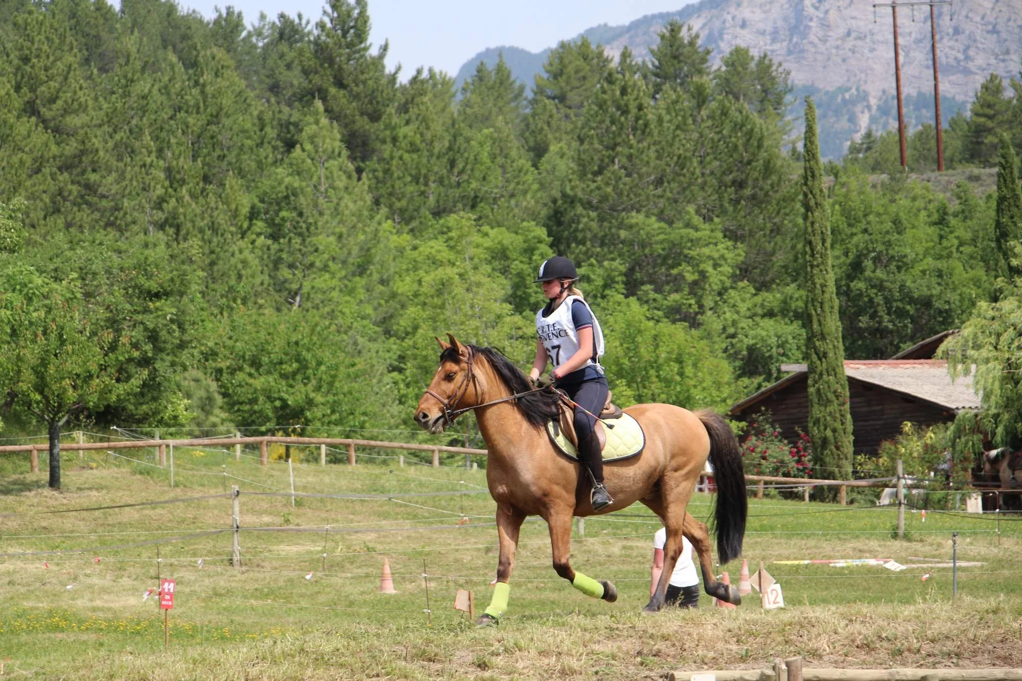 Une cavalière fait de l'équitation en plein air avec un casque, chevauchant un cheval marron. Le paysage est verdoyant avec de nombreux arbres et montagnes au loin.