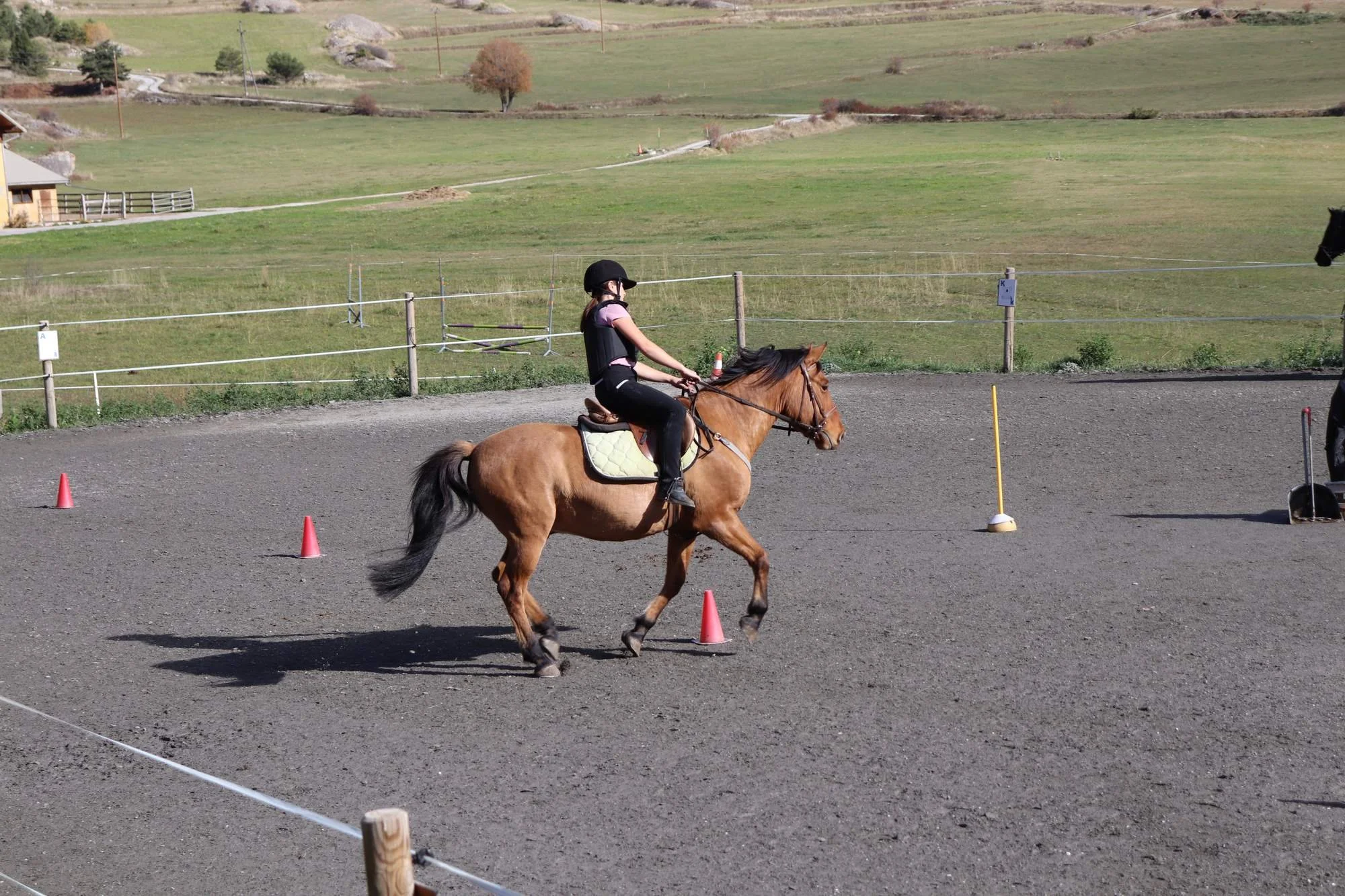 Une femme à cheval participe à un entraînement d'équitation dans une carrière, avec des cônes orange sur le sol et un champ verdoyant en arrière-plan.