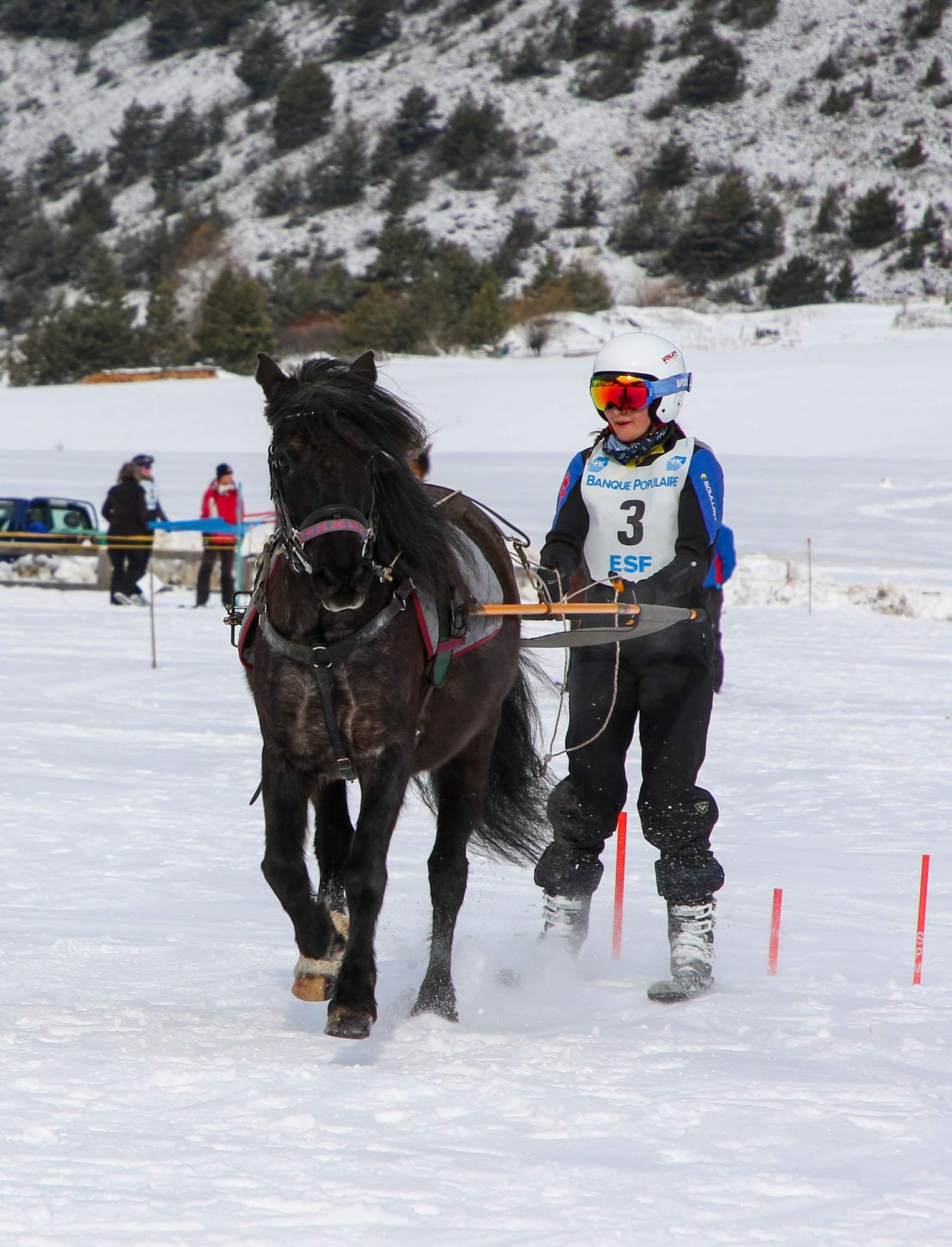 Une personne portant un casque et des lunettes de ski guide un cheval lors d'une compétition de ski de fond ou de biathlon dans la neige, dans un environnement montagneux avec des arbres et des spectateurs en arrière-plan.