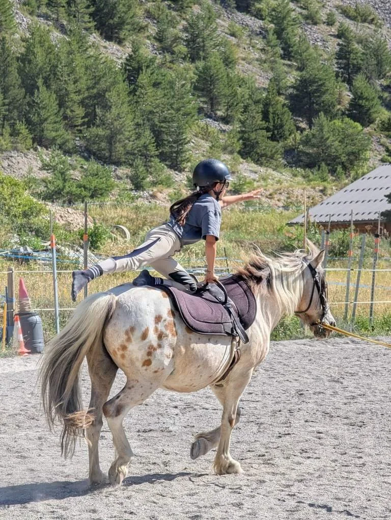 Une jeune fille en casque et vêtements d'équitation effectue un triple saut à cheval dans un terrain d'entraînement en plein air avec des montagnes et des arbres en arrière-plan.