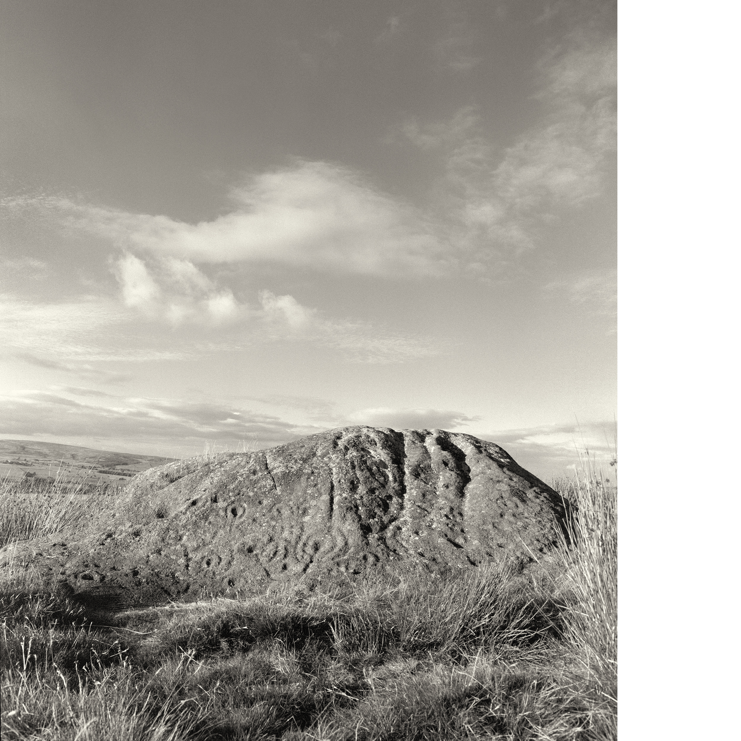 Badger Stone II.png