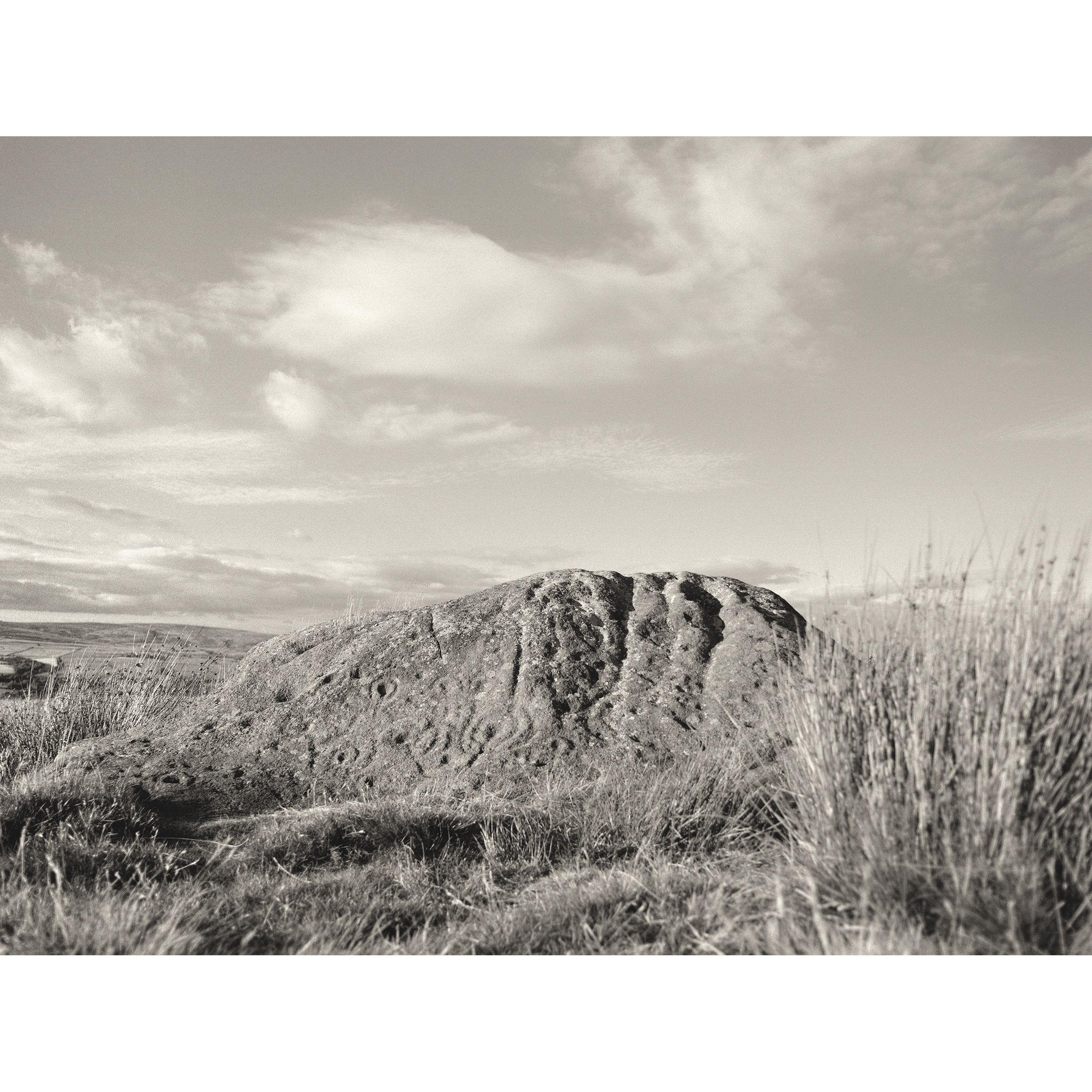 BADGER STONE II