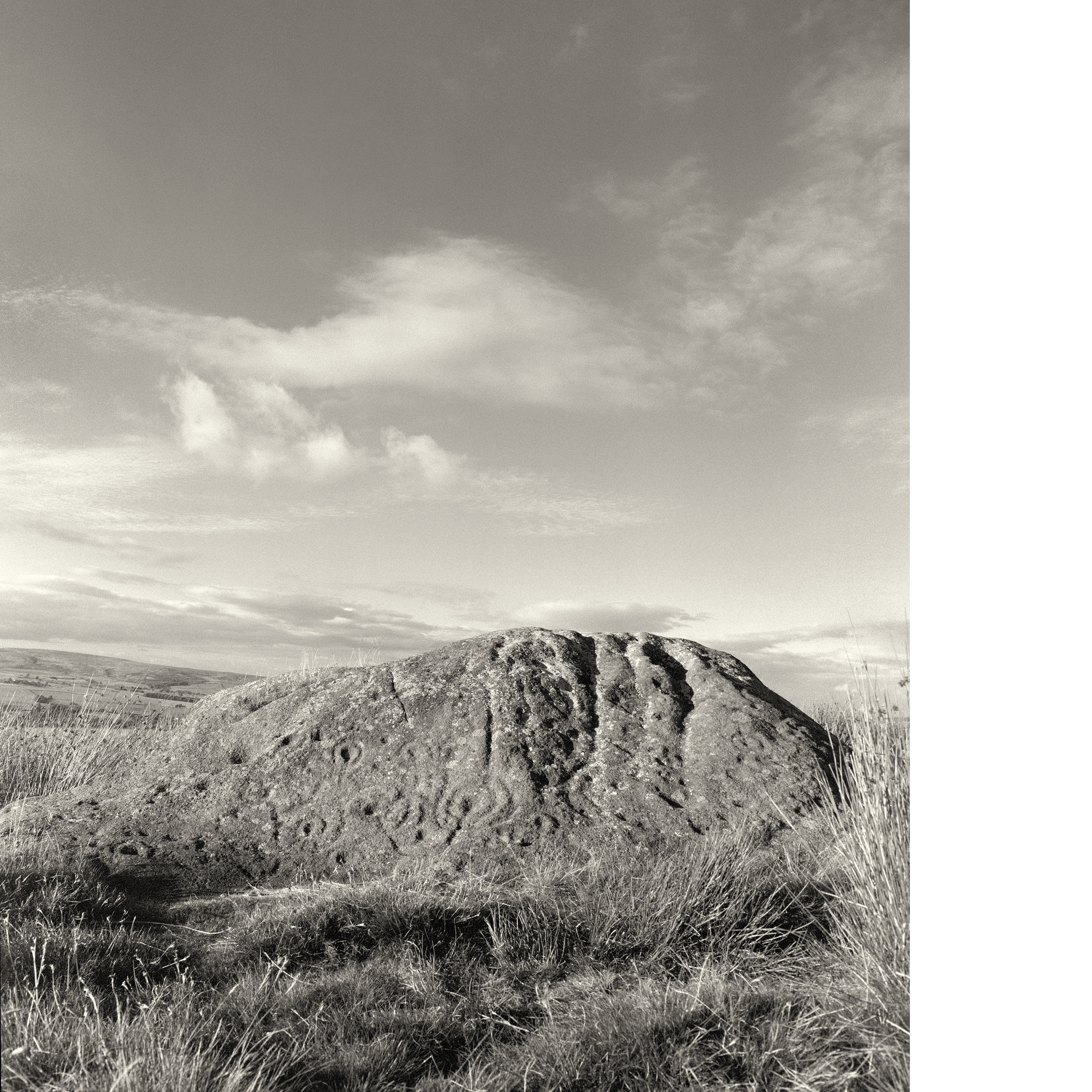 BADGER STONE I