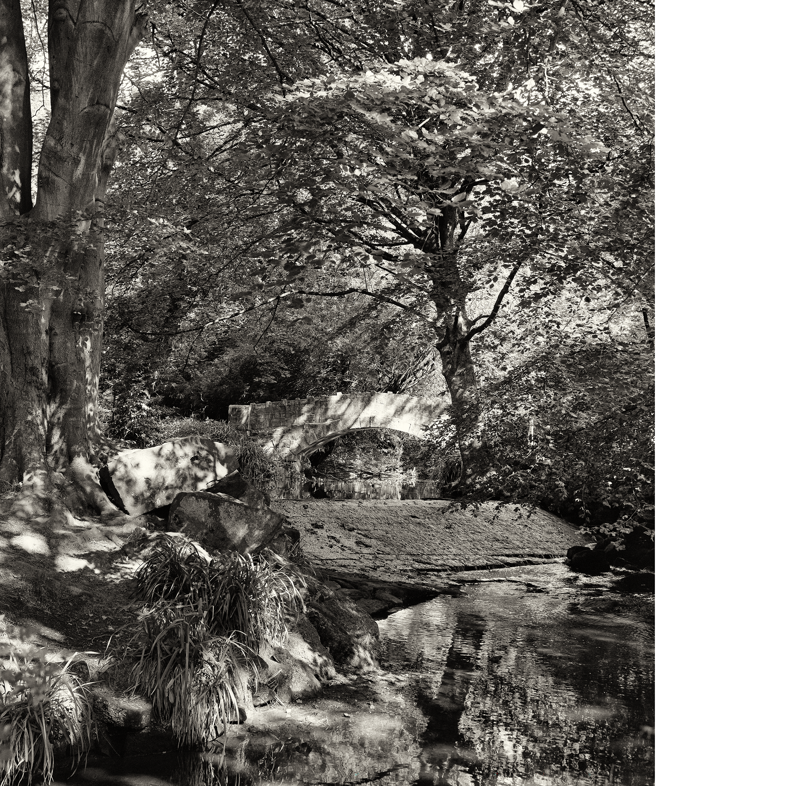 HUMPBACKED BRIDGE