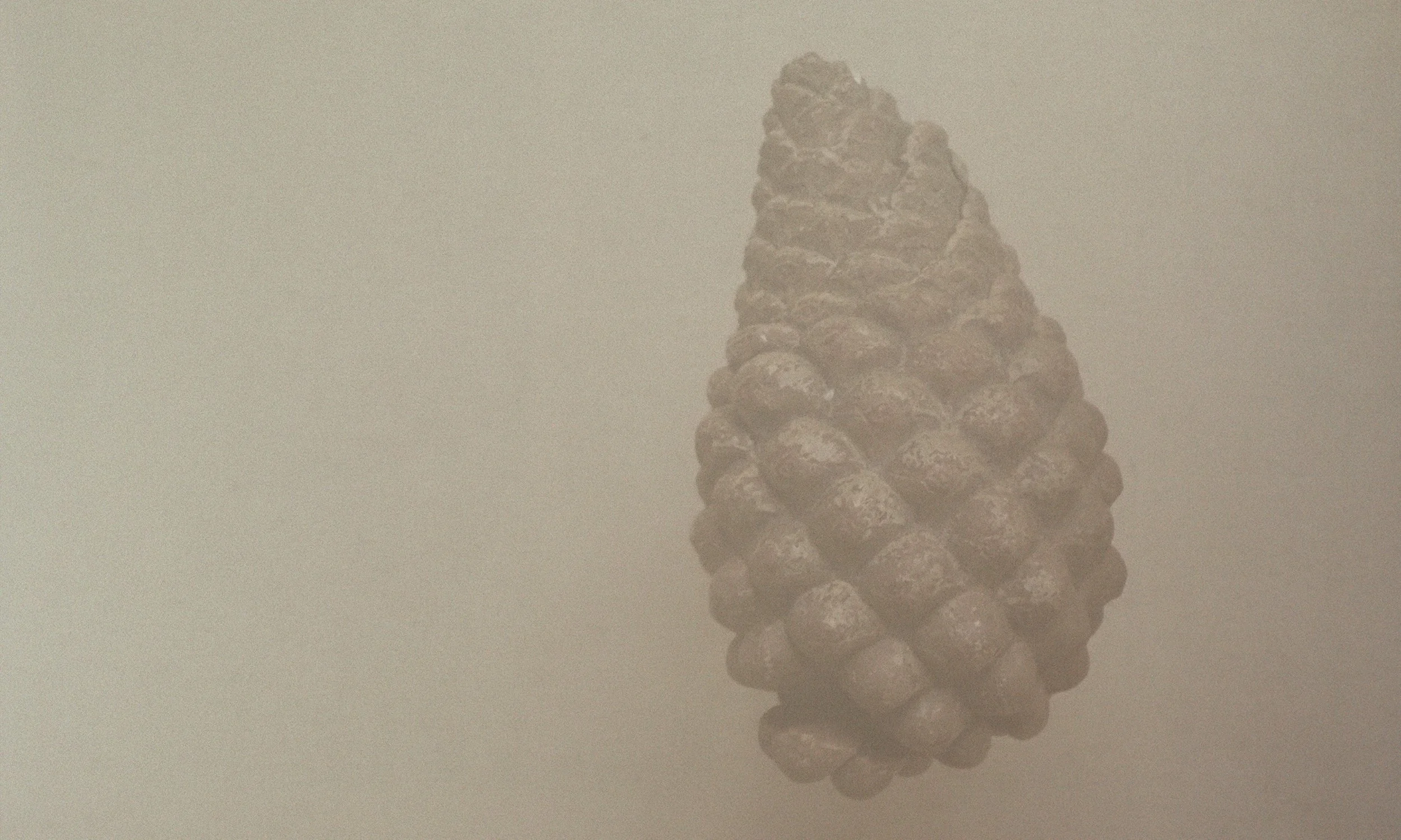 Faded minimal photographic image of a pine cone in brown hues,background image for customer service page of Reindeer Moss Photography