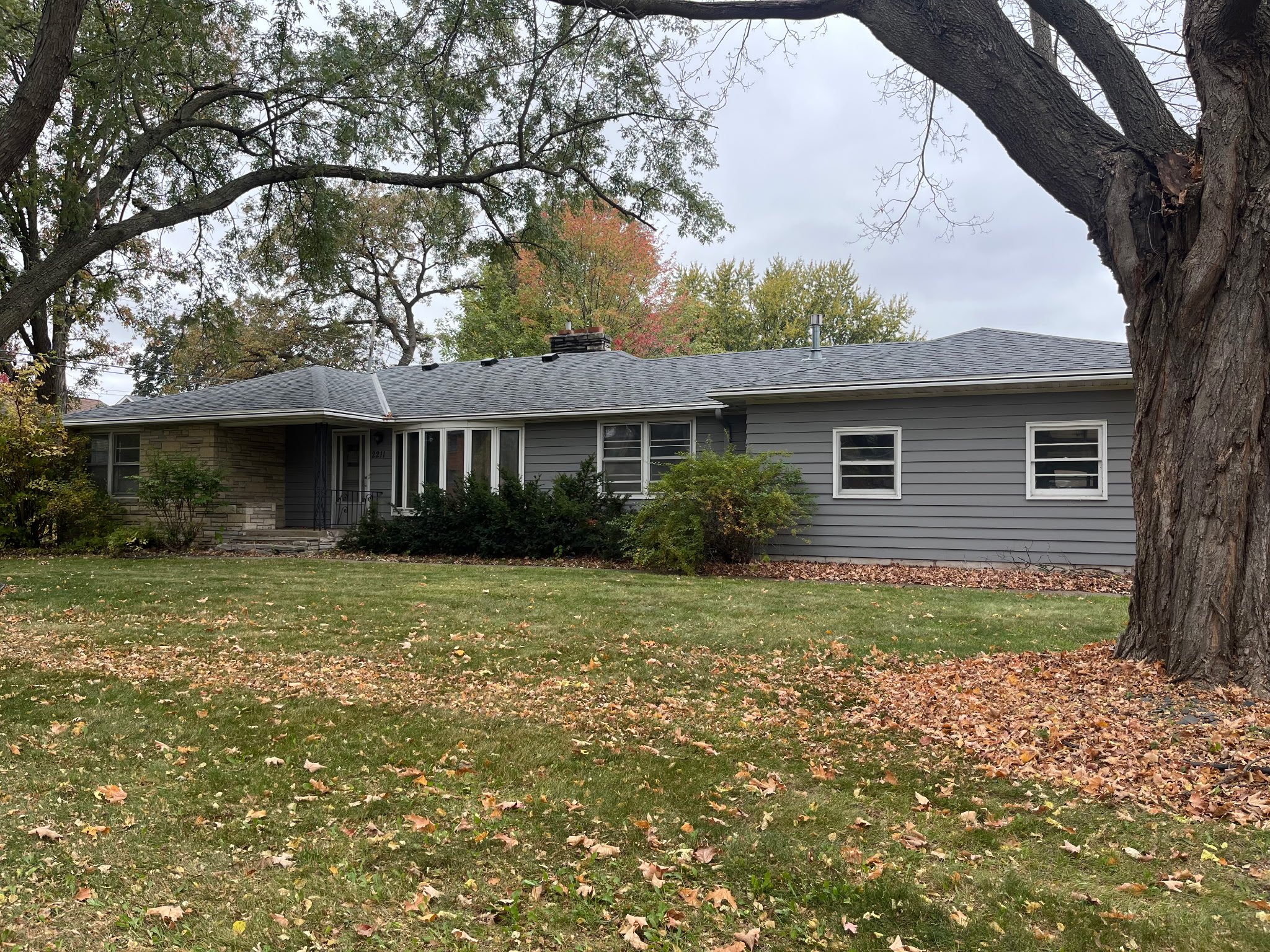 Lexington home: single-story house with gray siding and a stone front, set behind a wide lawn with fallen leaves