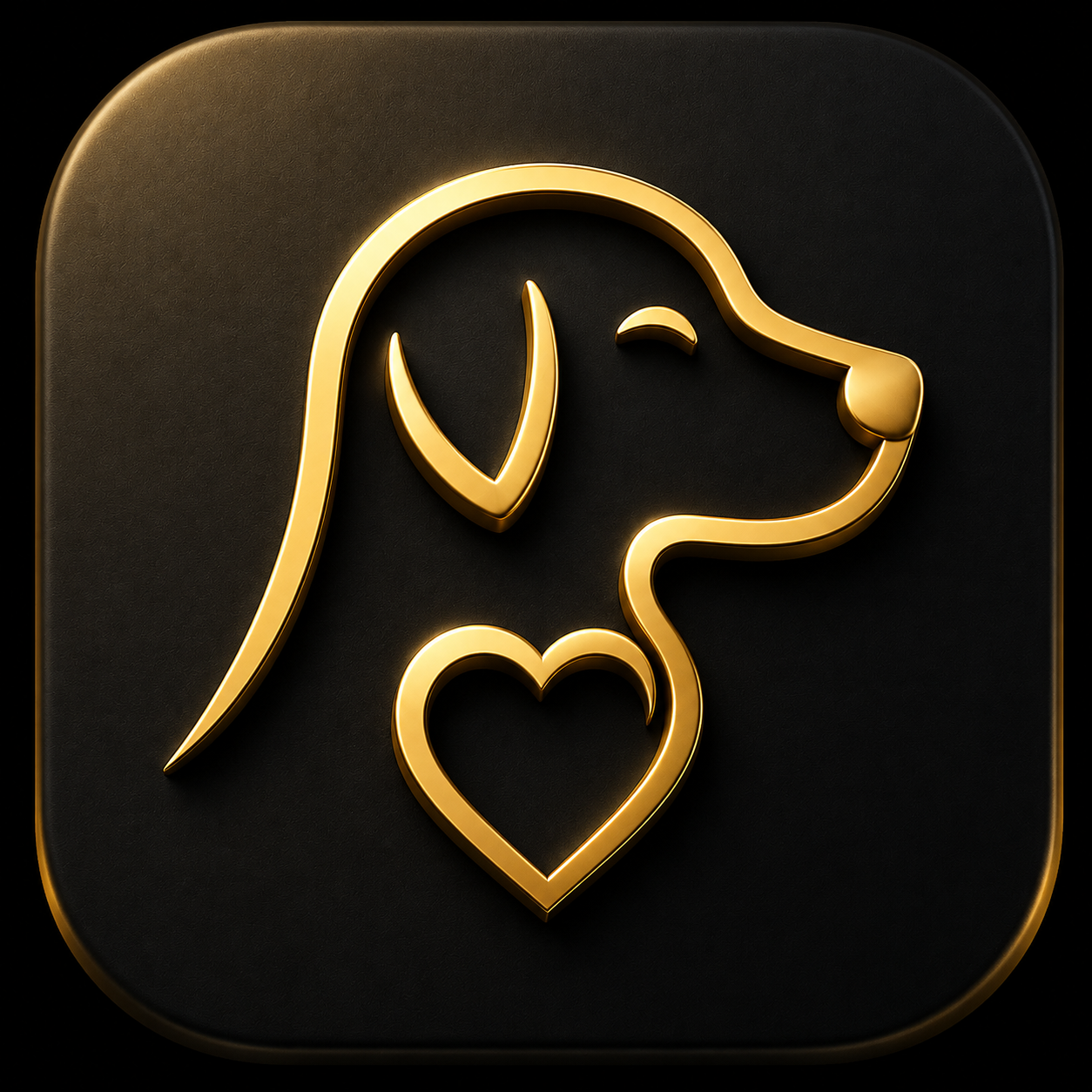 understand your Dog better