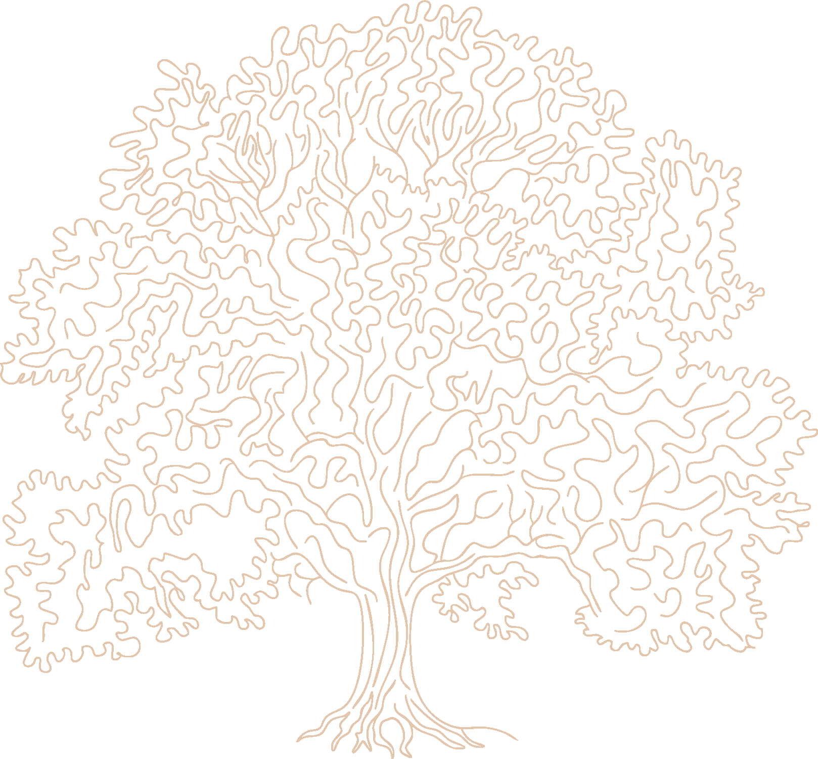 An illustration of a human brain outlined with intricate, wavy lines on a black background.