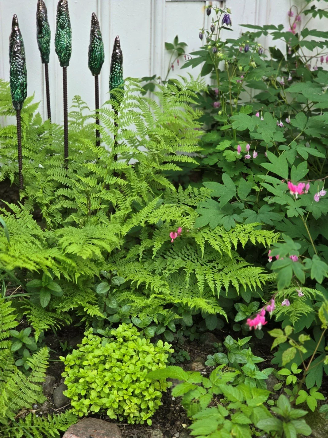 Grön växtlighet i en trädgård, inklusive ormbunkar, blommor och andra gröna blad.