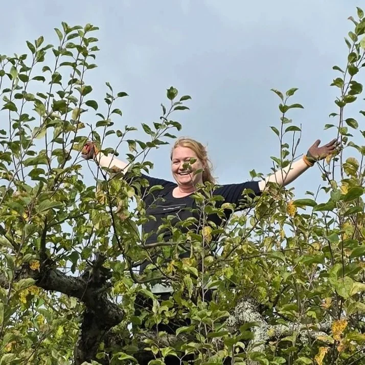 En trädgårdsmästare står bland äppelträd, utsträckt armar och skrattar mot kameran.