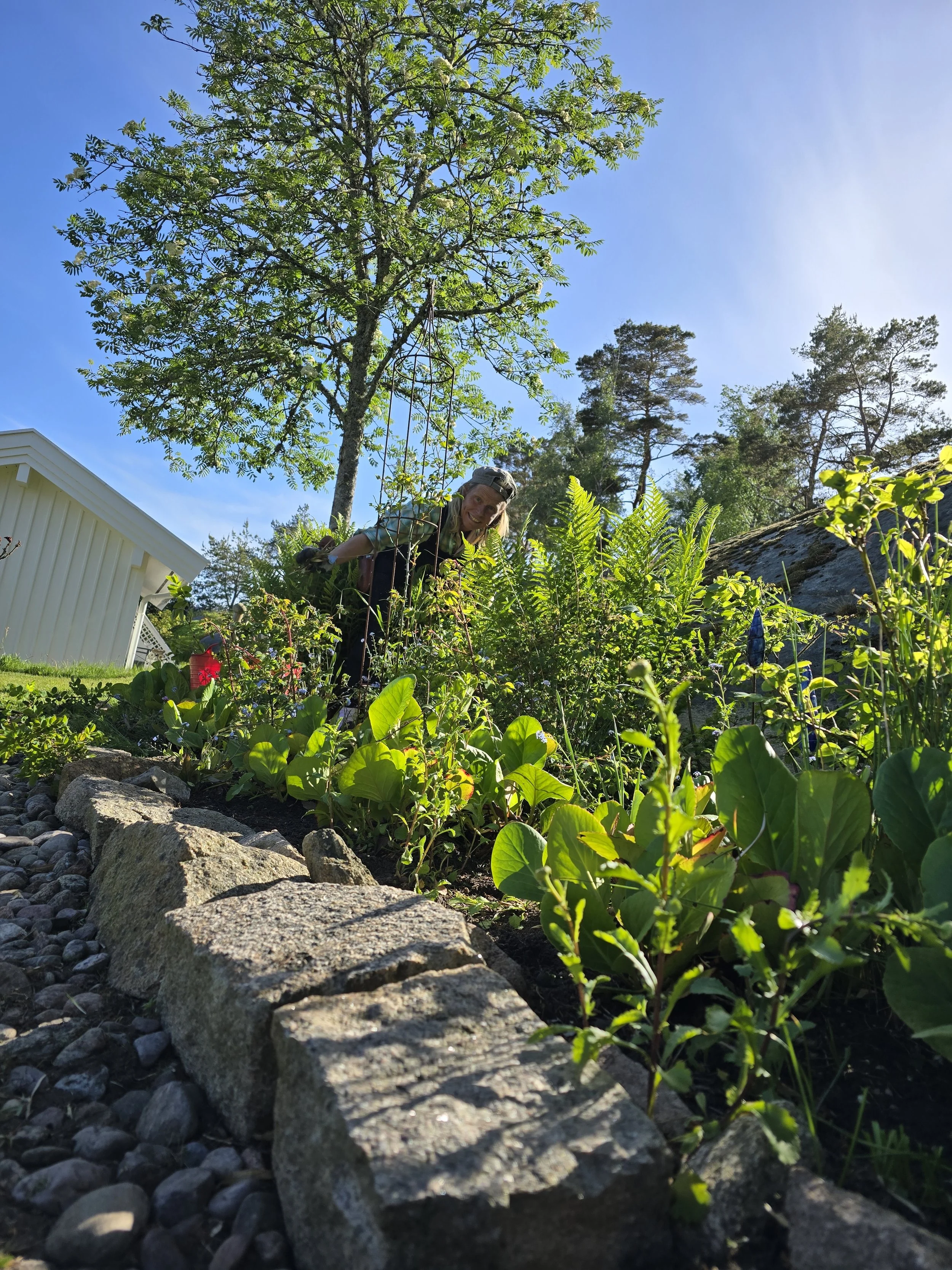 Trädgårdsmästare som jobbar i en trädgård med gröna växter, träd och en blå himmel.