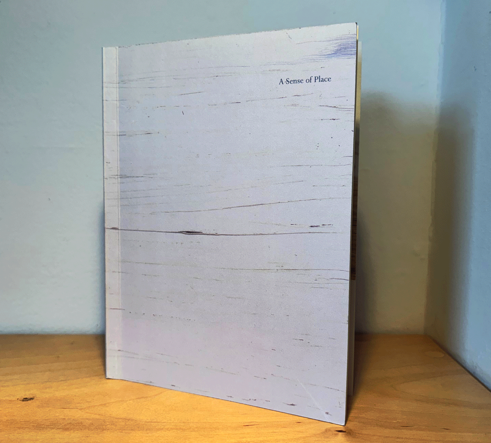 A white hardcover book titled "A Sense of Place" standing upright on a wooden surface, against a light blue wall.