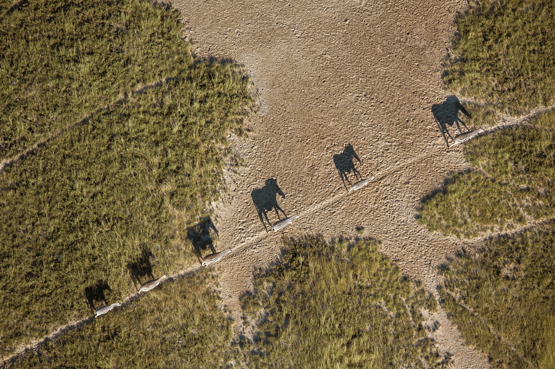 botswana-kalahari-magadigadi-pans-8.jpg