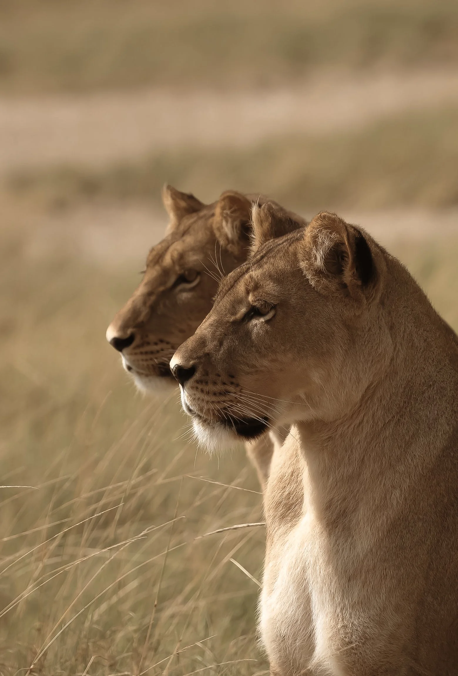 botswana-okavango-delta-3.jpg