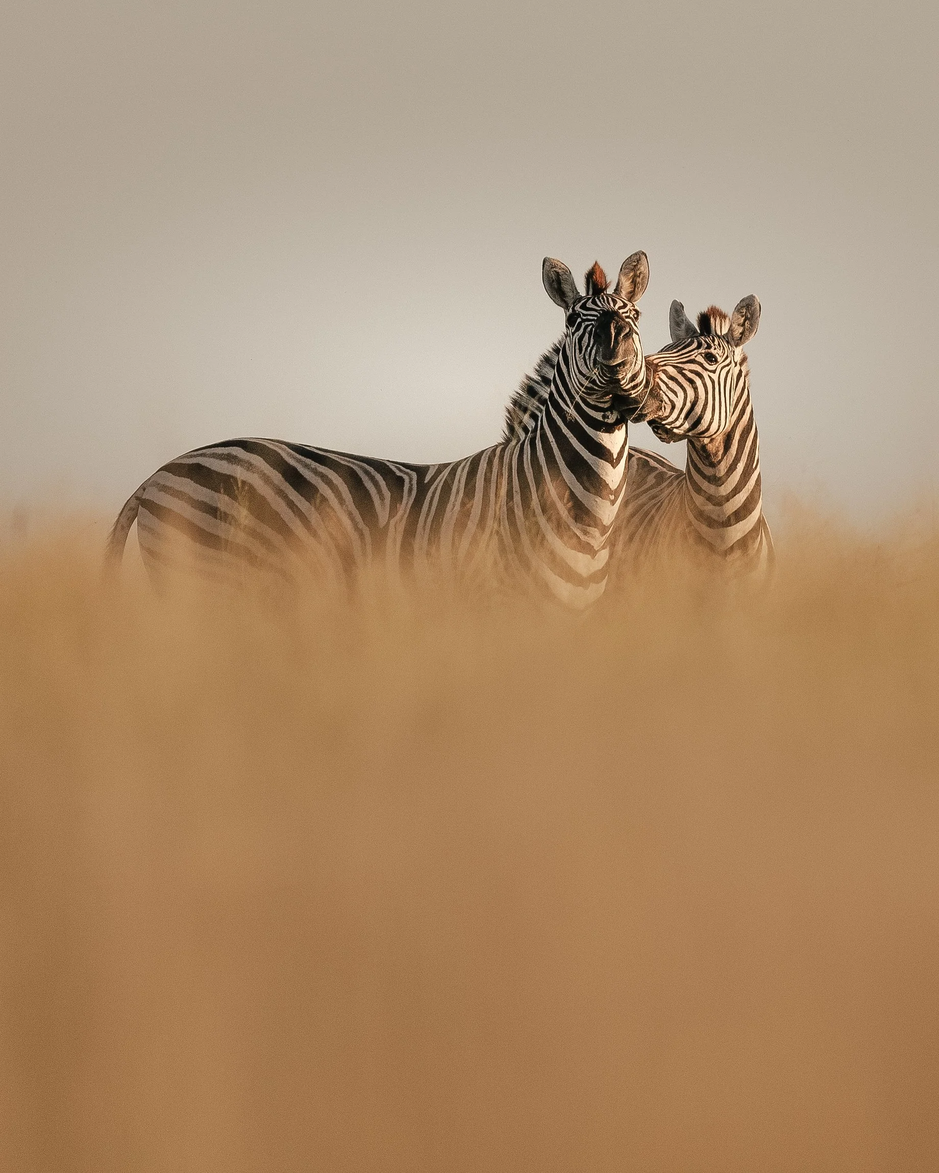 botswana-kalahari-magadigadi-pans-9.jpg